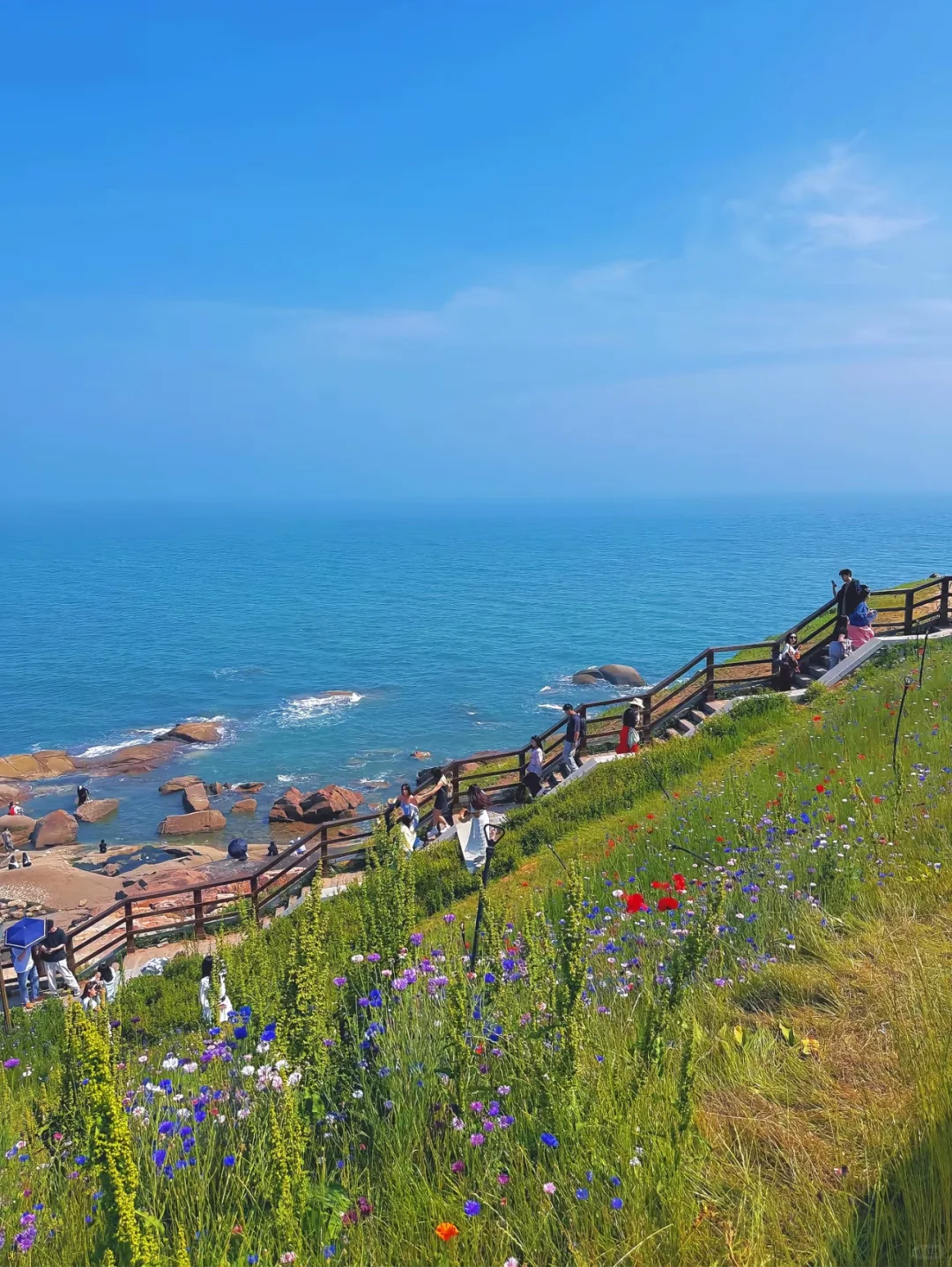 青岛3天2夜绝美玩法，红瓦绿树，碧海蓝天！