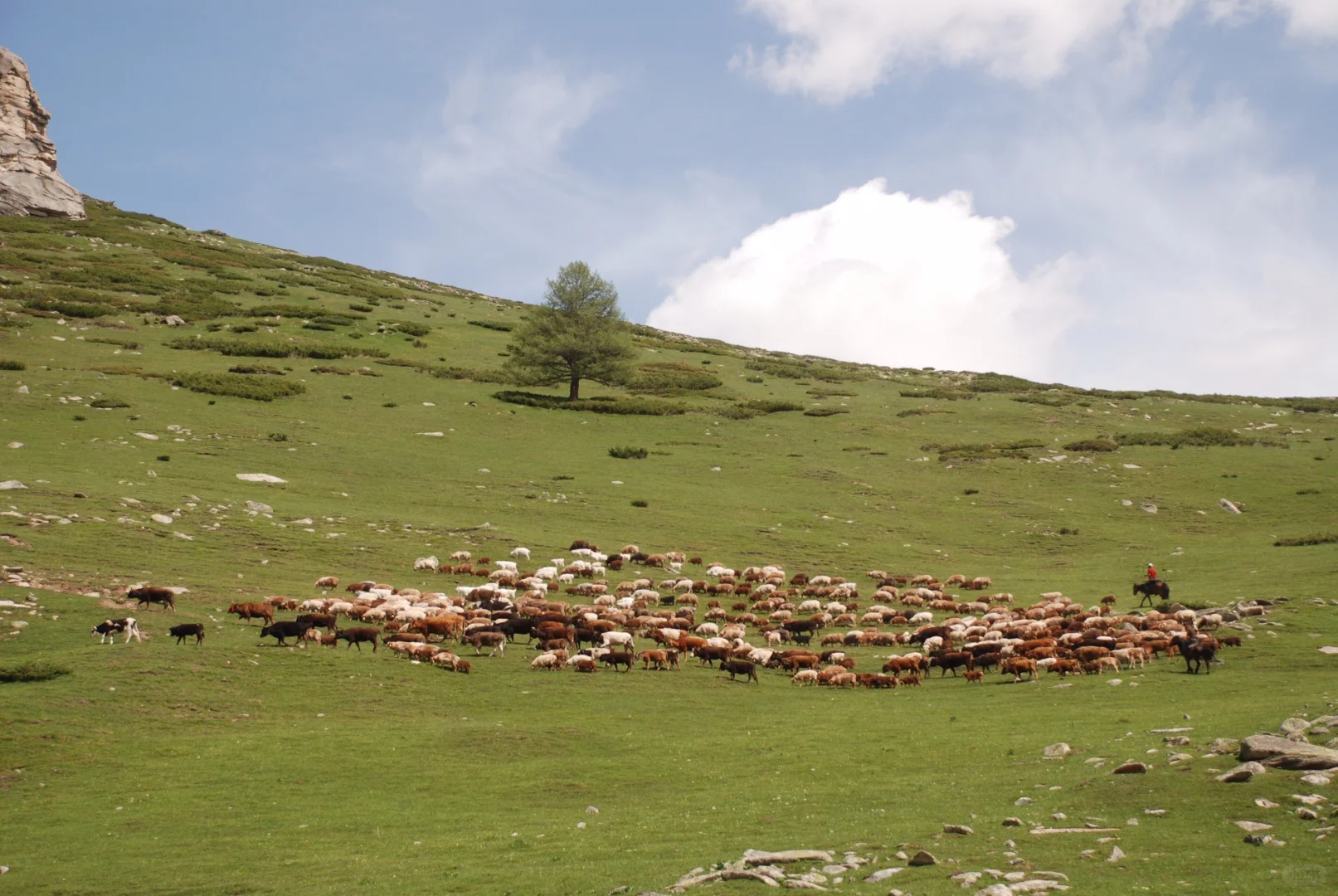 北疆攻略｜可可托海景区4月15日开园啦！