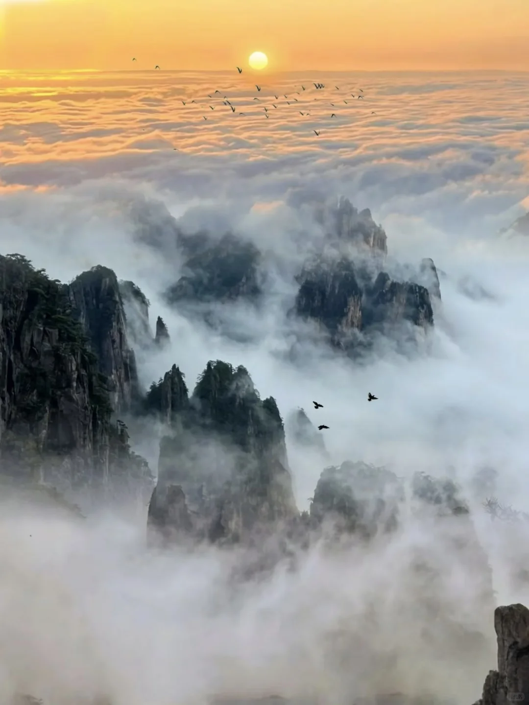 来了！确实值！黄山真的值得！