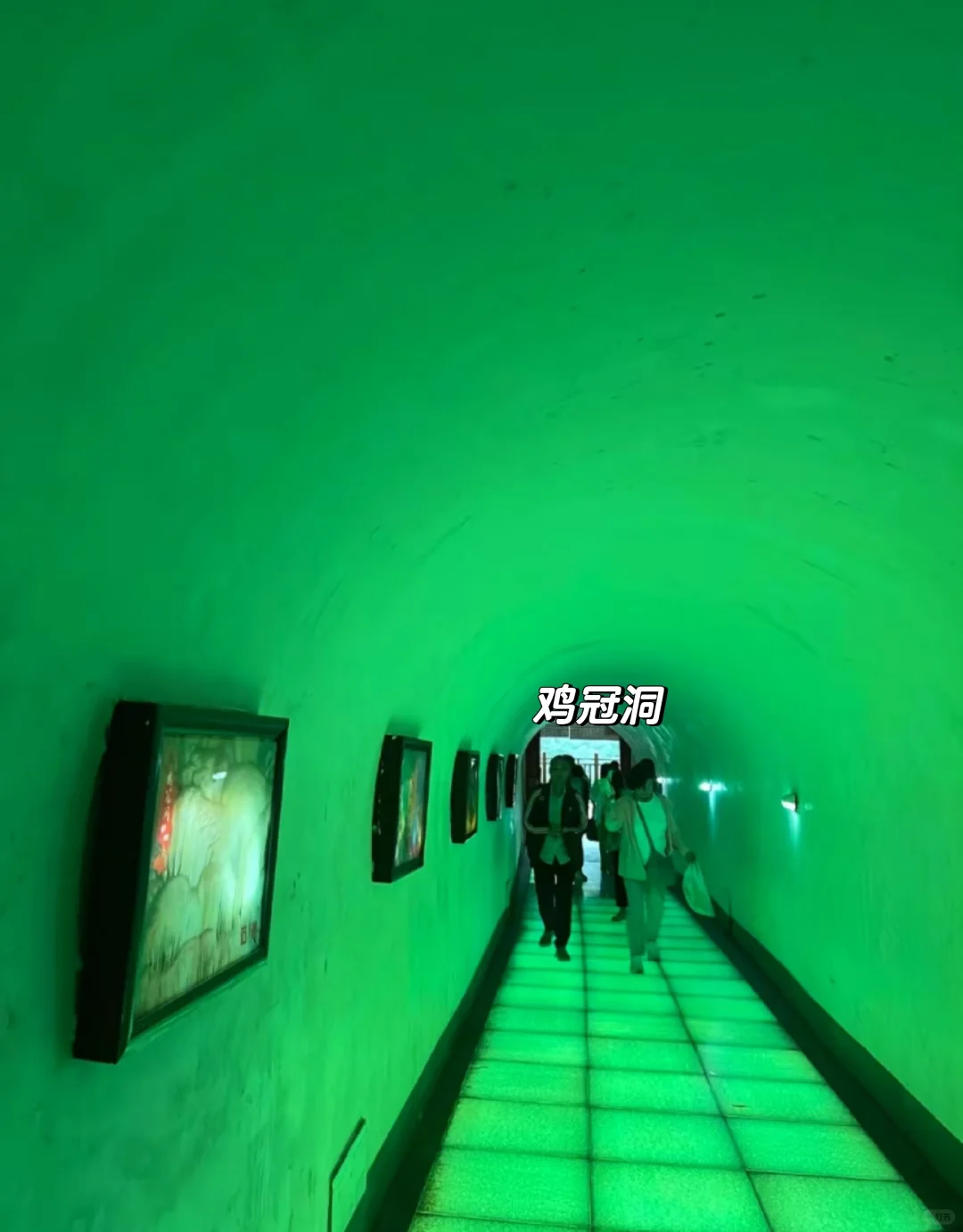 邯郸到洛阳栾川，鸡冠洞+天河大峡谷二日游