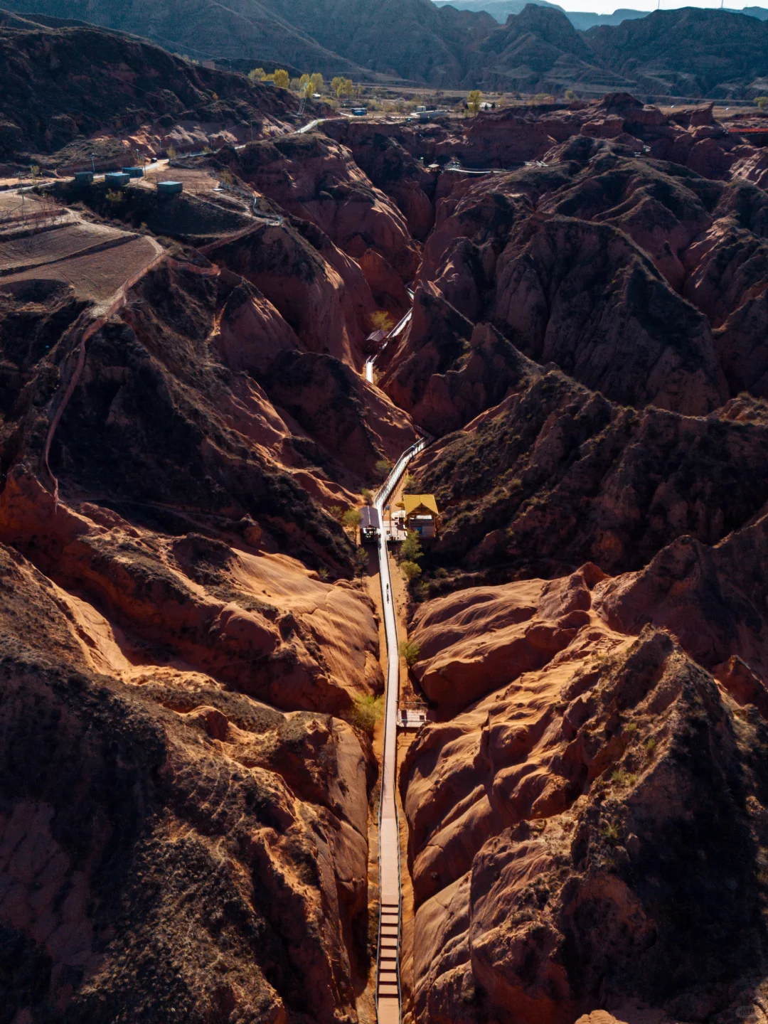真的没有在美国，被眼前的一幕震撼到了...
