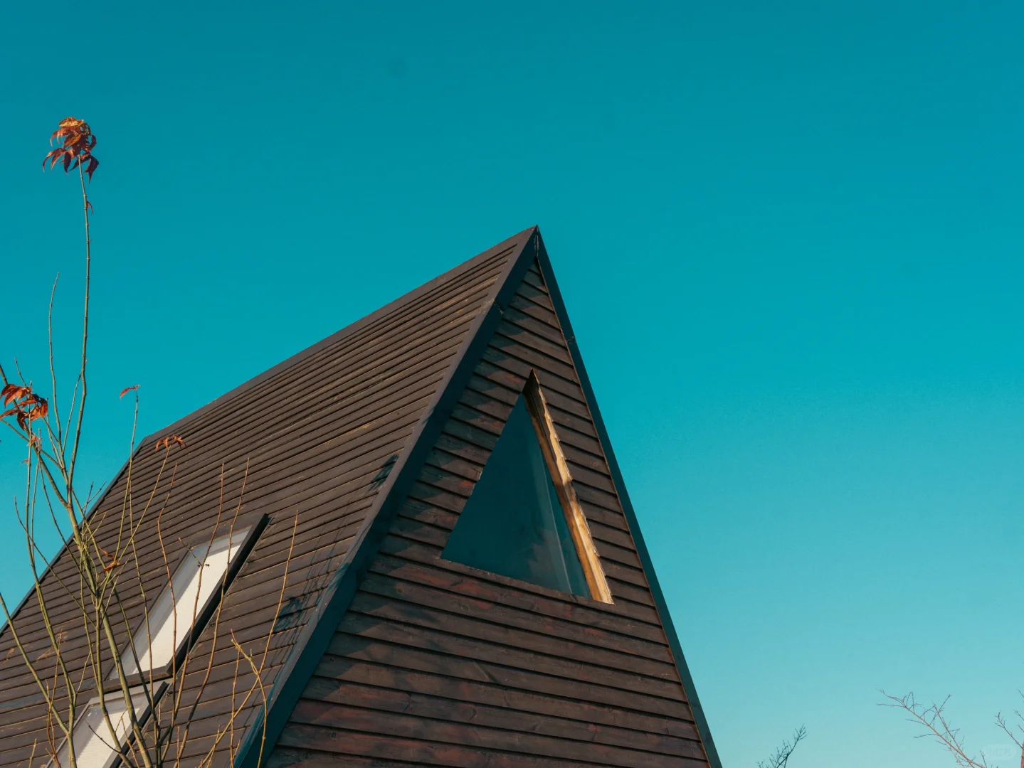 真的有一种误入仙境的美！