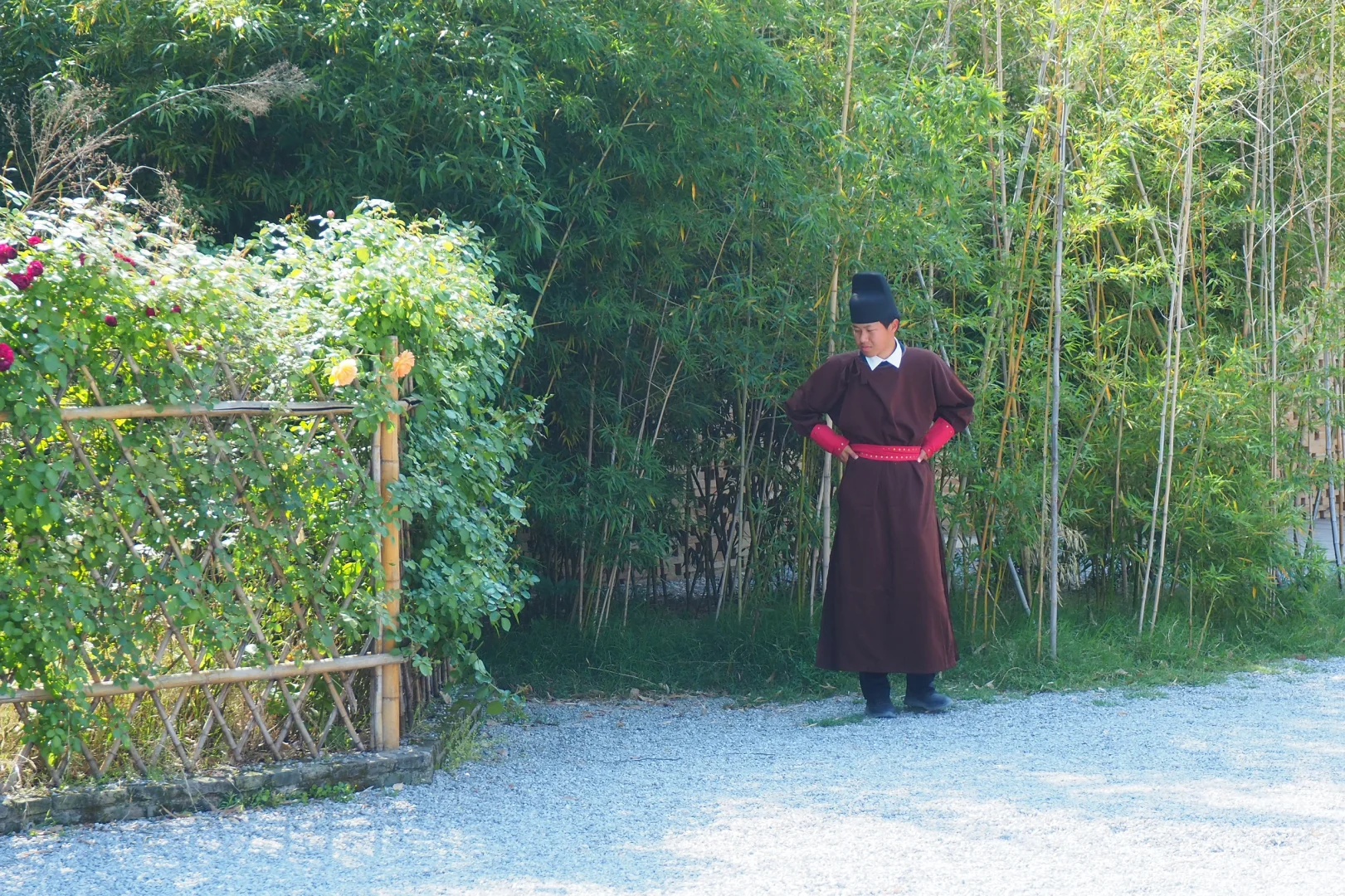 奥林巴斯扫街 陶阳里