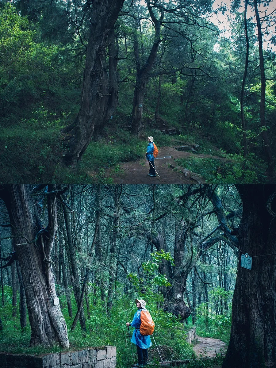 走遍中国最难忘的地方Top12🔥舍不得公开！