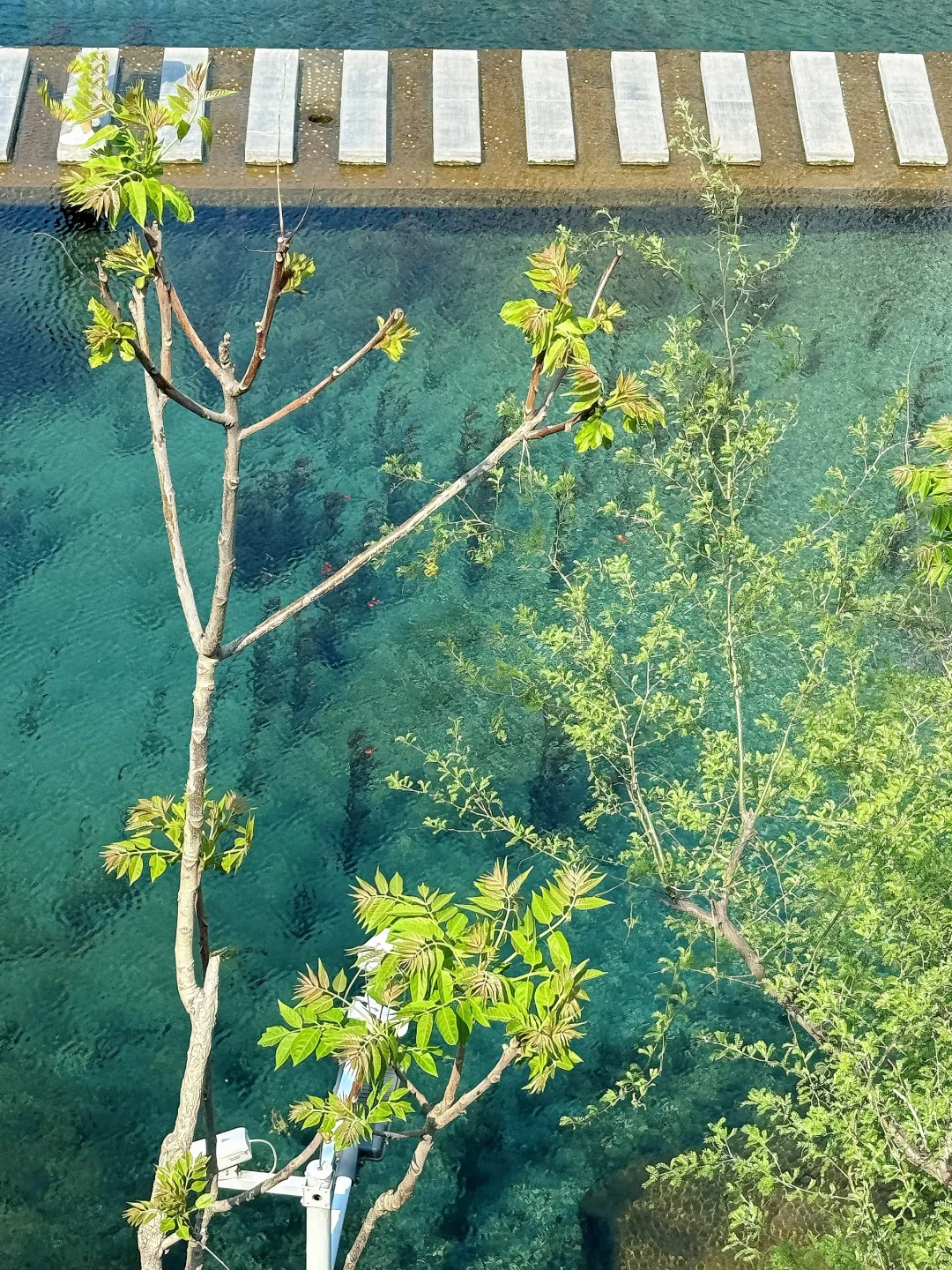 邯郸| 黑龙洞 简直了🗾九寨沟分沟！！！