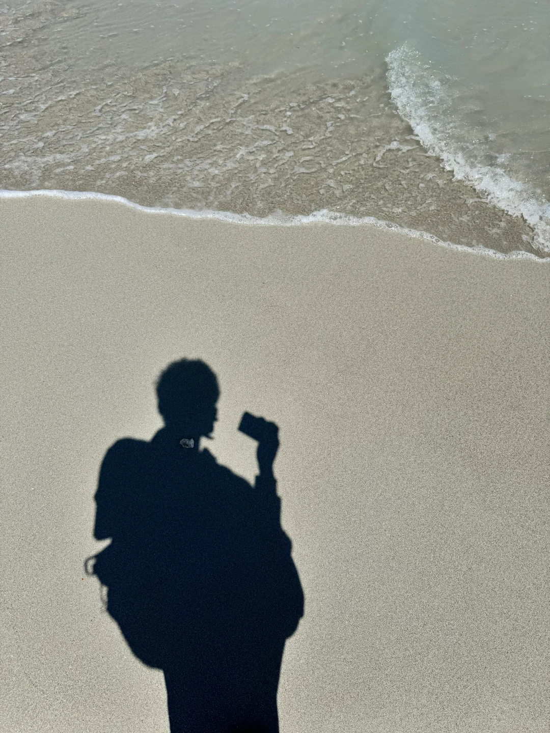 如果你在一个晴天的没有课的下午…