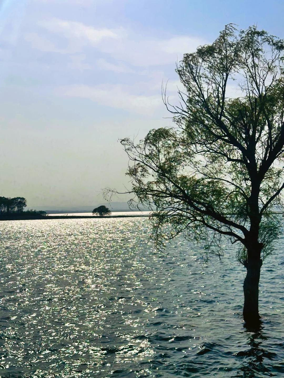 后来我逢人便说“邯郸小洱海”到底有多美‼️