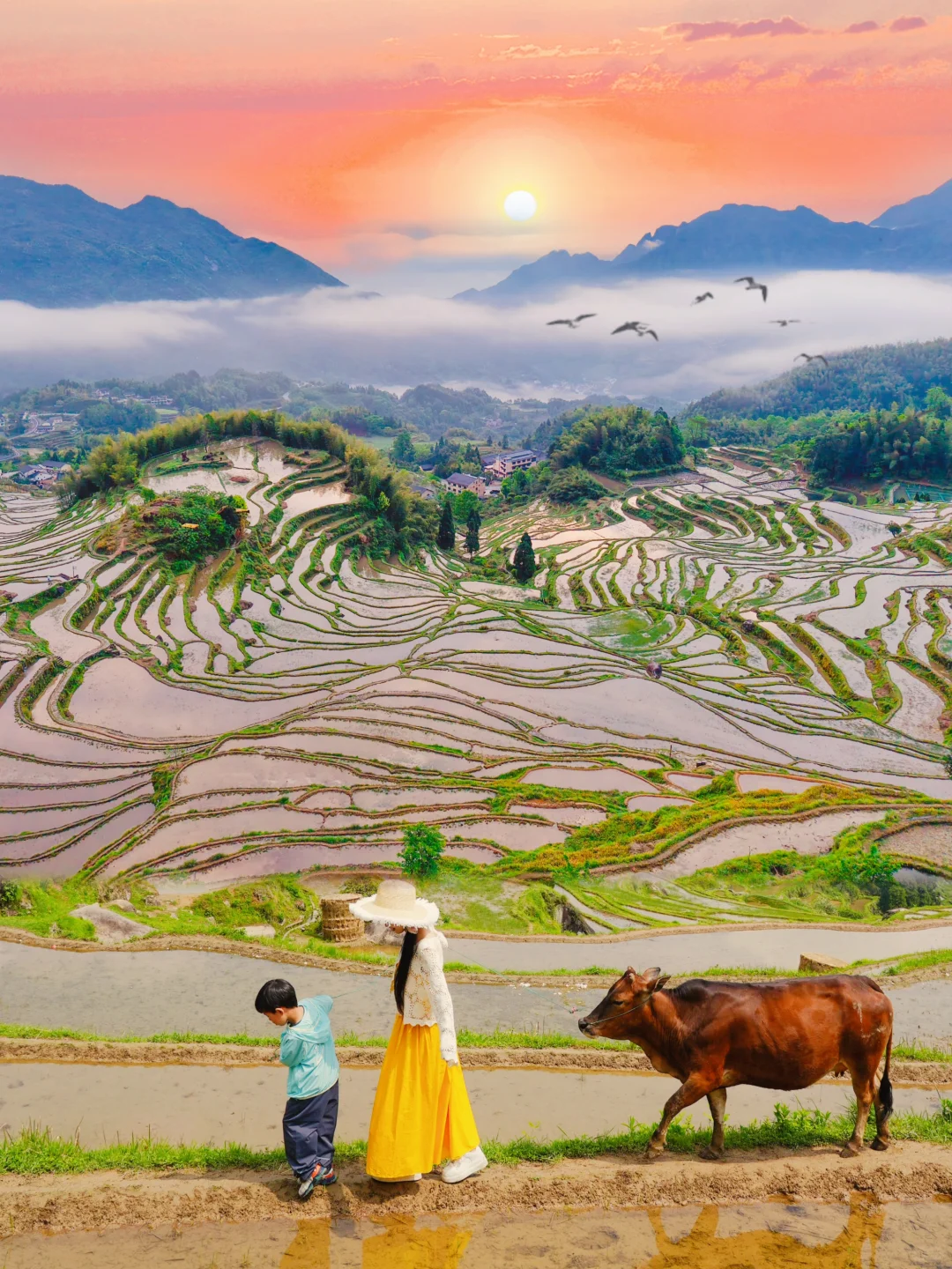 我好怕它火‼️江浙沪被严重低估的宝藏小城