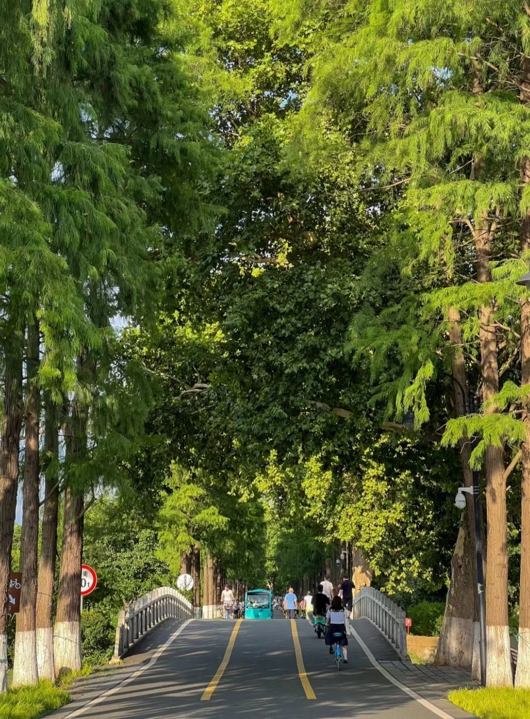 东湖一日深度游攻略！🚩