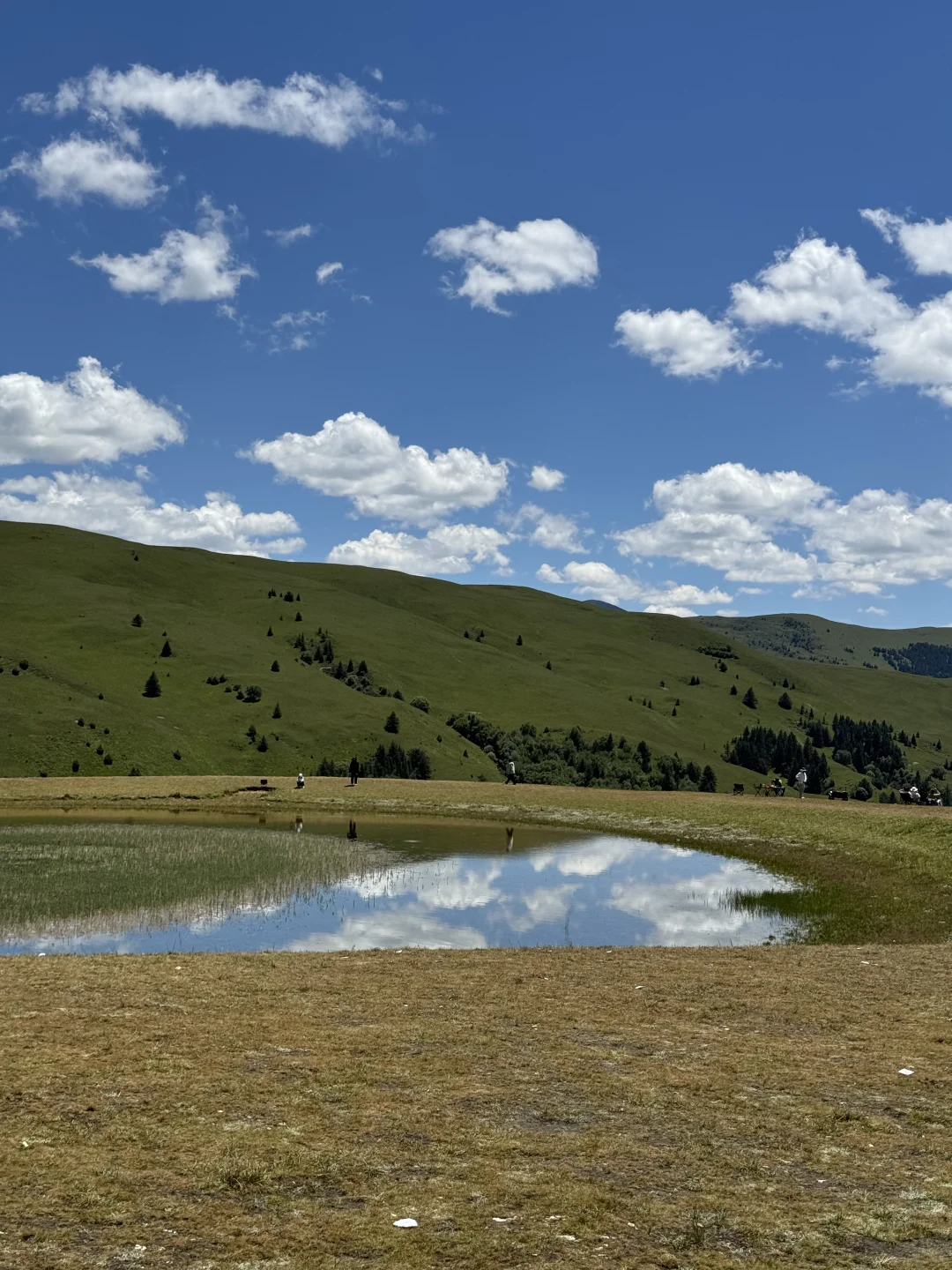 我很少用震撼形容一个地方！！（live）