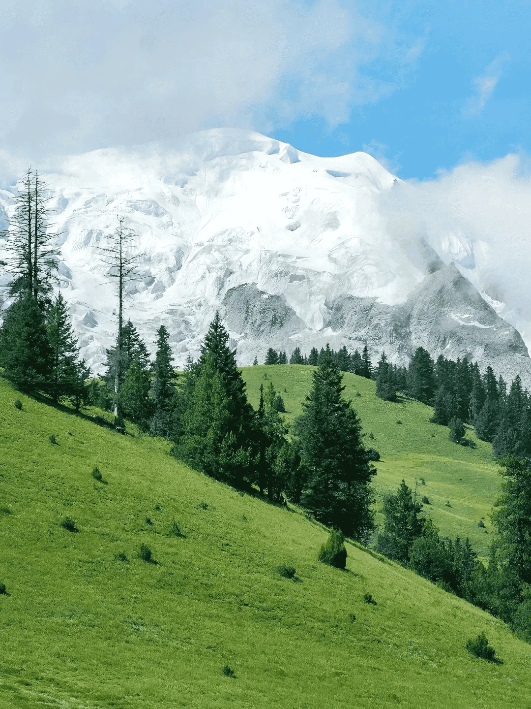 这里不是新疆！是川西顶级秘境—格聂