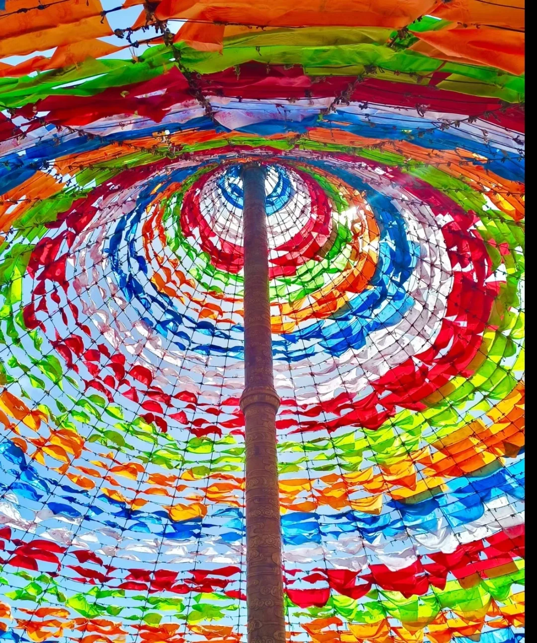 青海玩 🔥2 天 600💰 💦