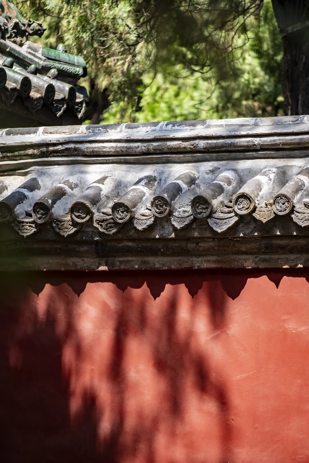 去景区加班之又来拍孔庙了