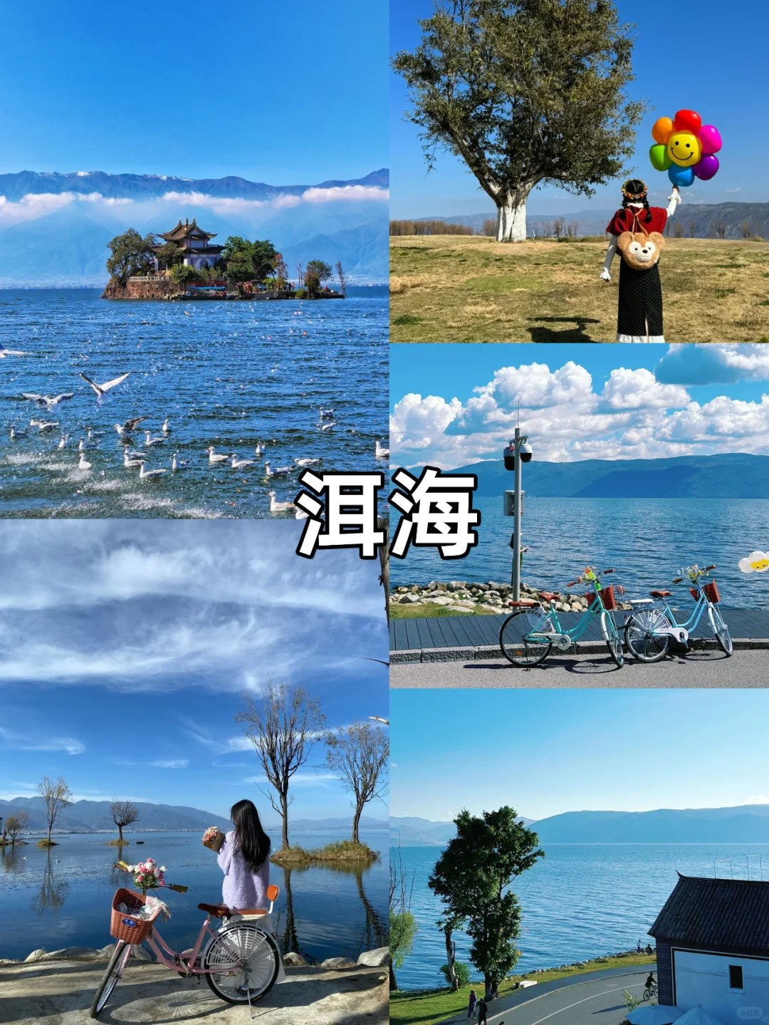 云南旅游正确路线❤️4天3晚人均1000+