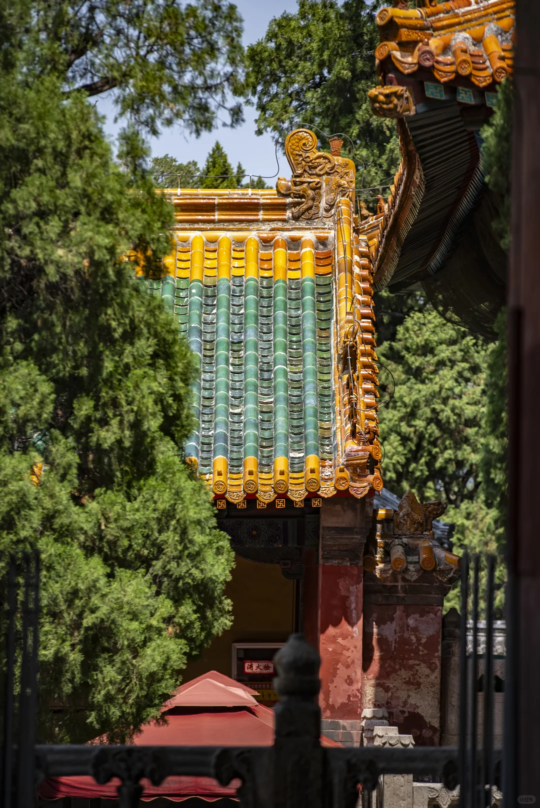 去景区加班之又来拍孔庙了