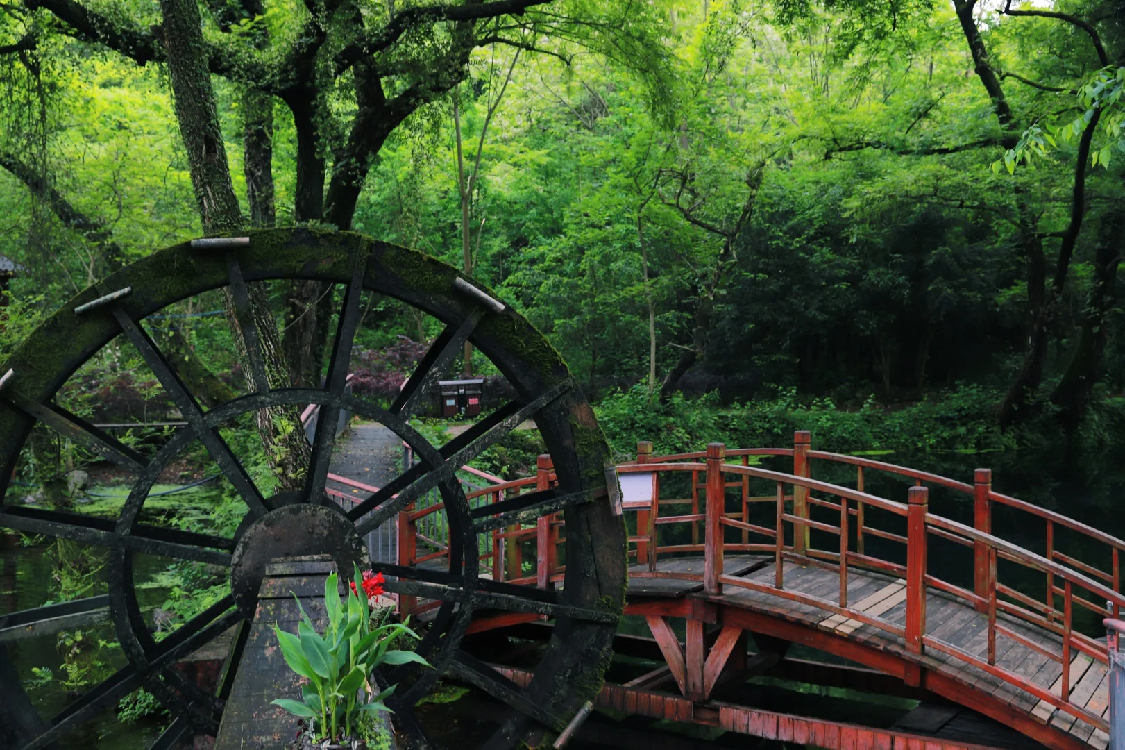 桂林周边游｜安和龙井村