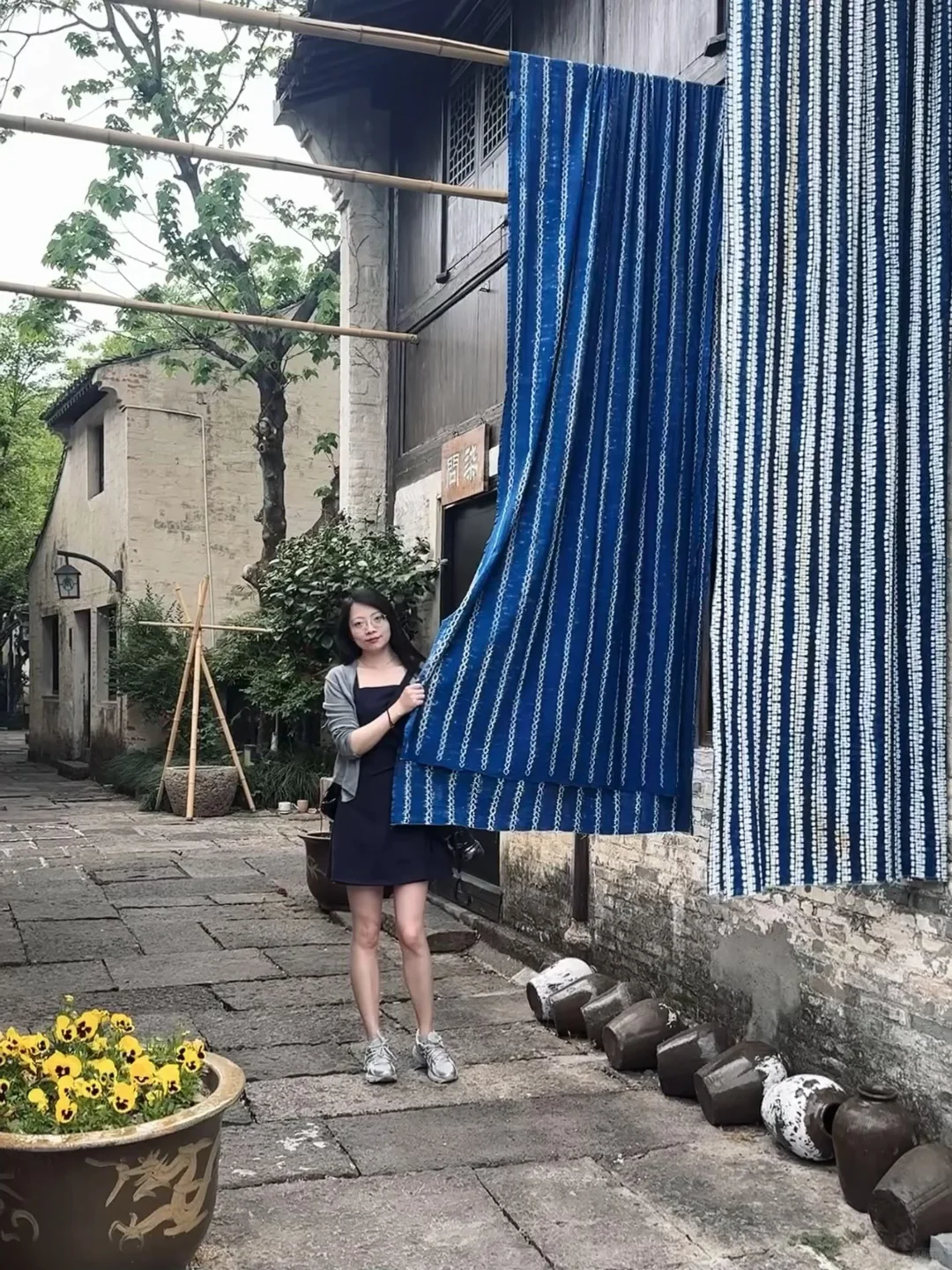 实拍，绍兴这个4000年古村，蔷薇花墙已上线