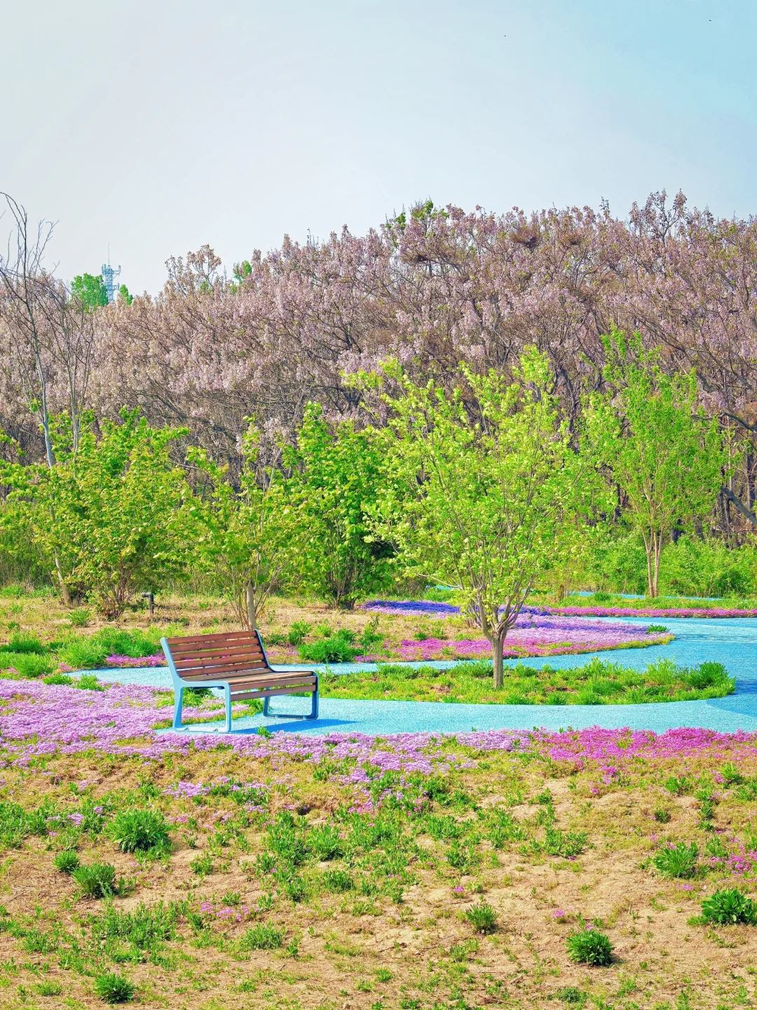 邯郸！发小带我来的小众公园，人少景超美