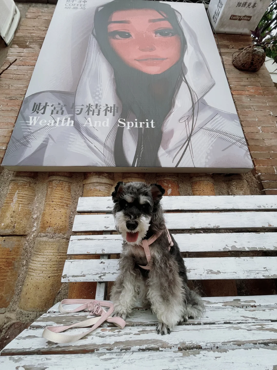 石家庄及周边宠物友好景区（新增正太广场）