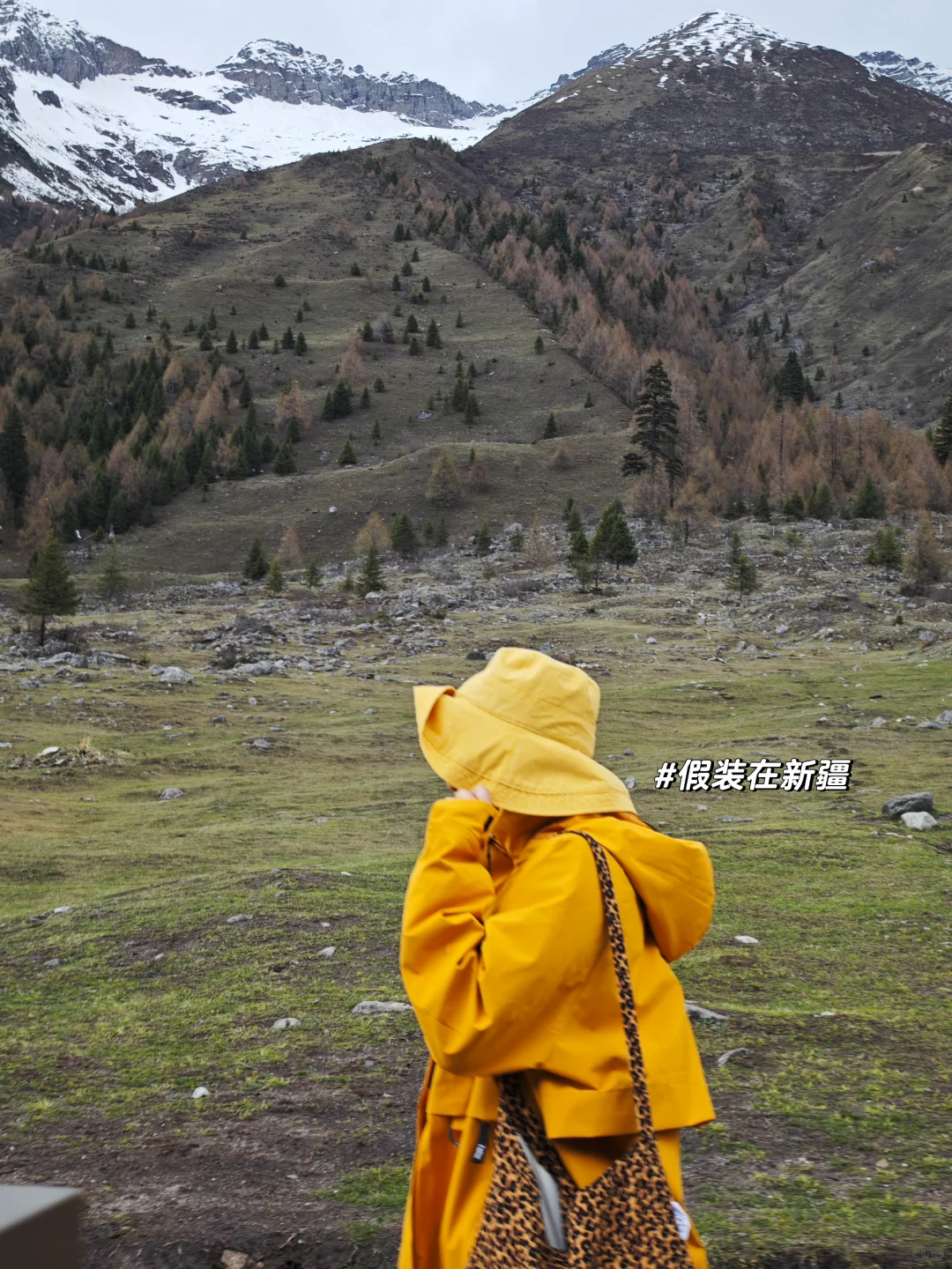在川西被暴雨追着跑的一天｜四姑娘山双桥沟