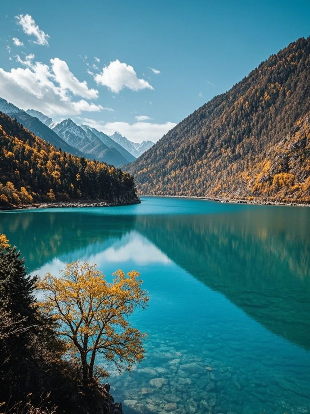 四川多个景区，全部免门票！