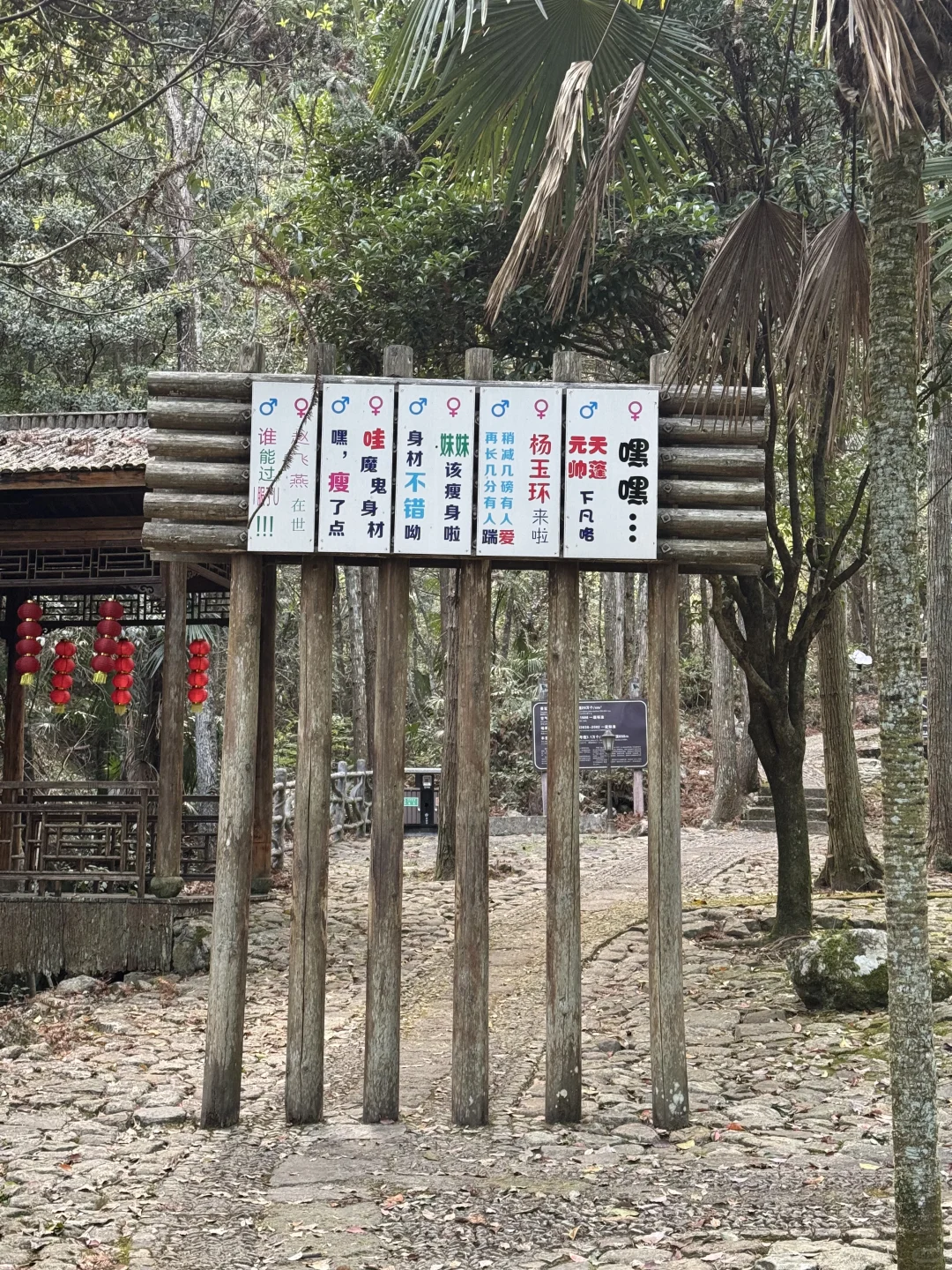 景区选妃柱子给我整无语了