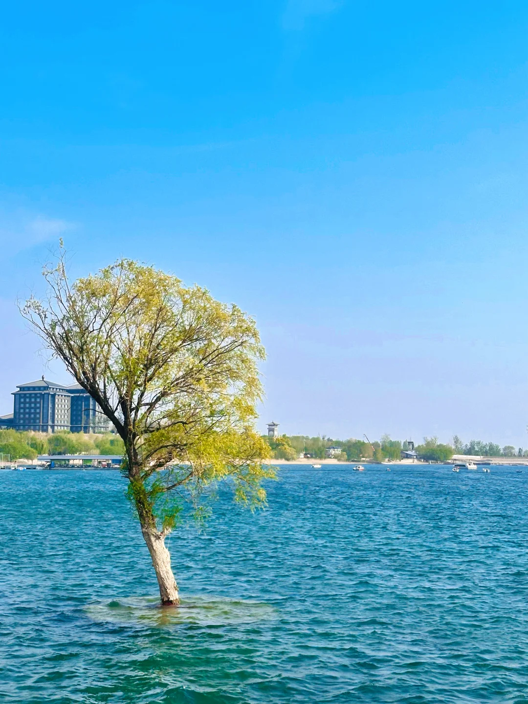 后来我逢人便说“邯郸小洱海”到底有多美‼️