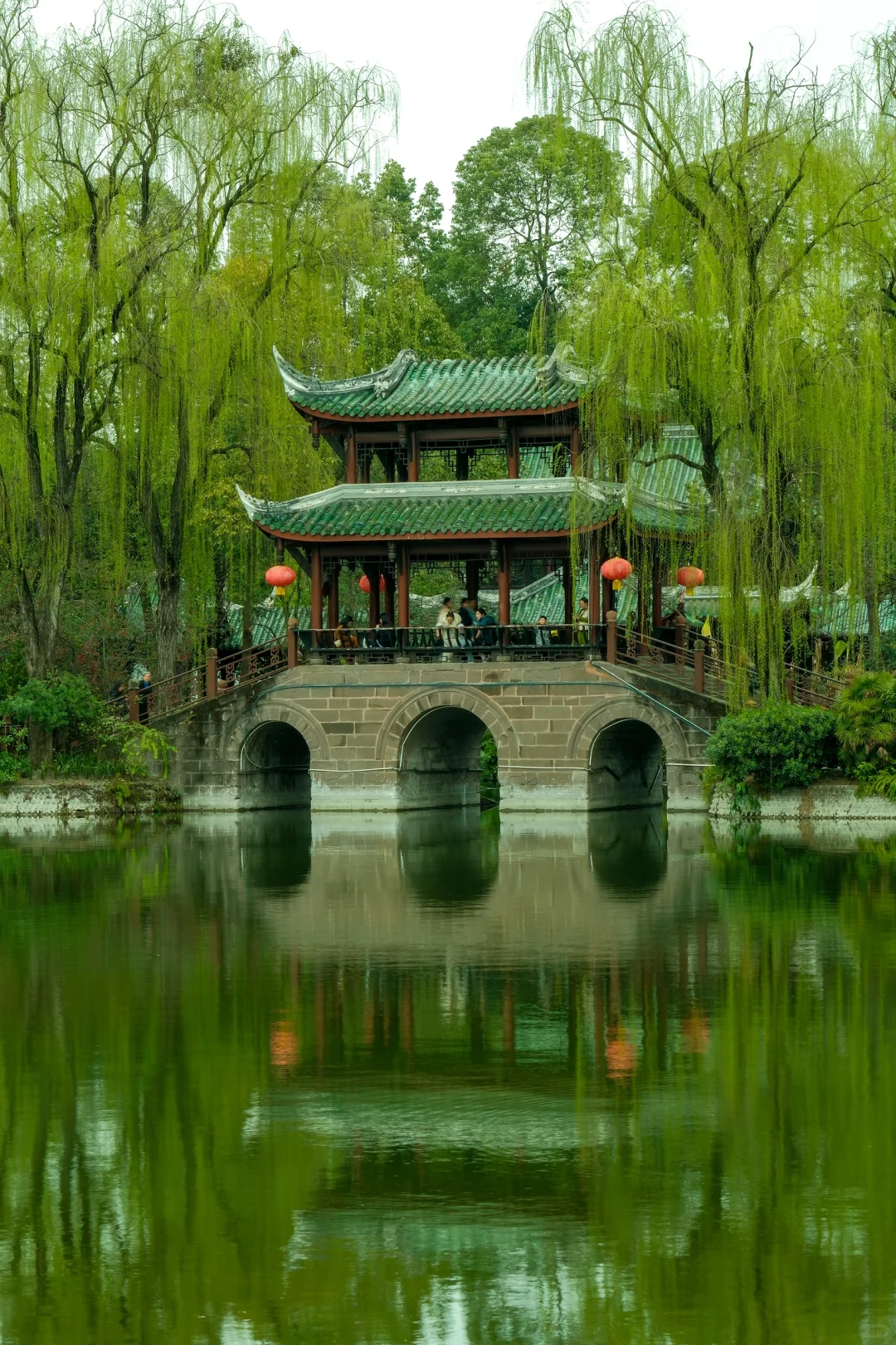 交换春天｜在成都找到了现实版的“言叶之庭”