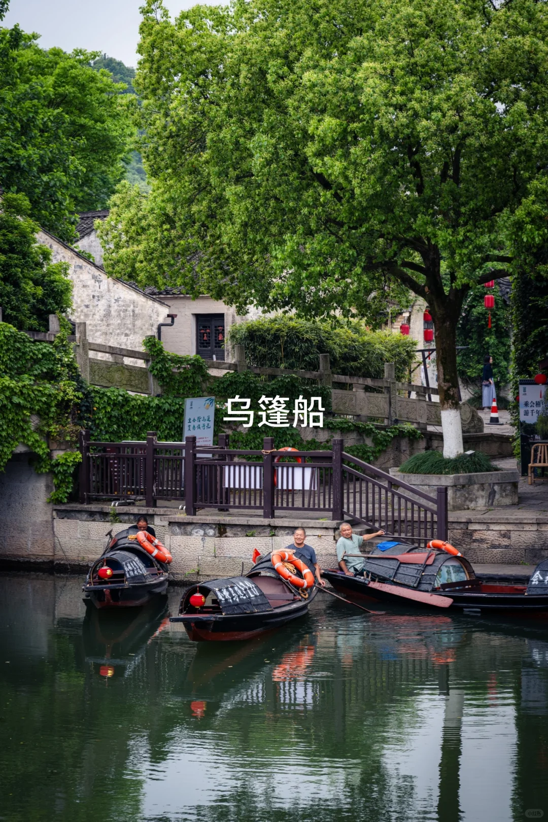 实拍，绍兴这个4000年古村，蔷薇花墙已上线