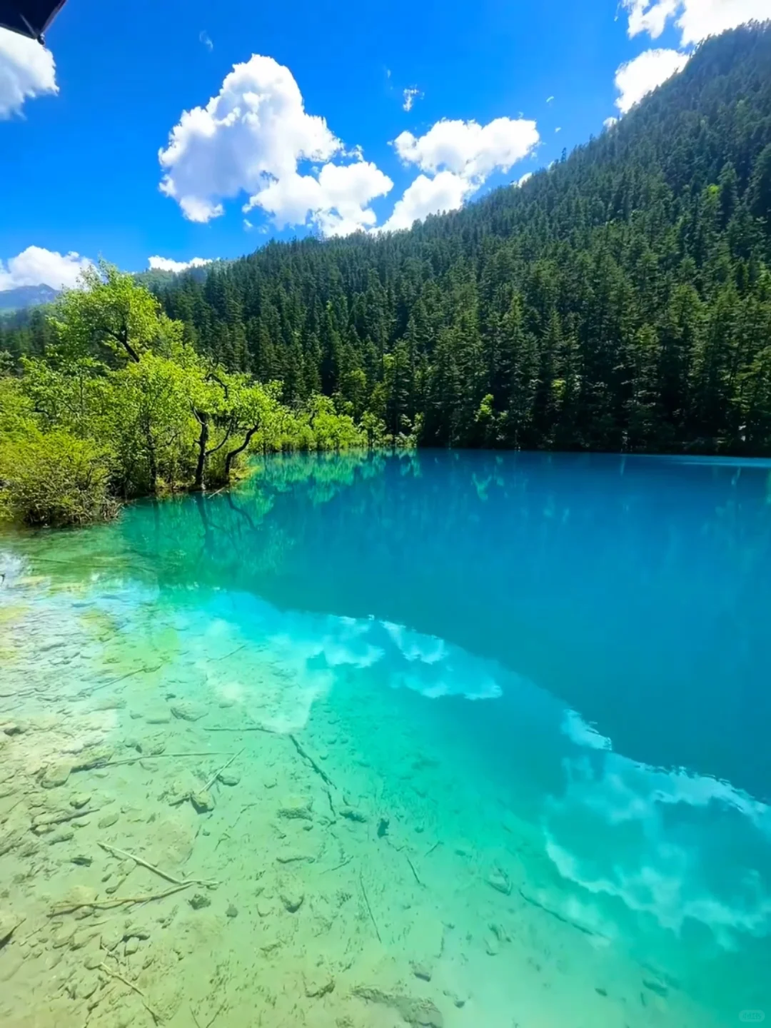 去年五一九寨沟live实况直出，劝退不了