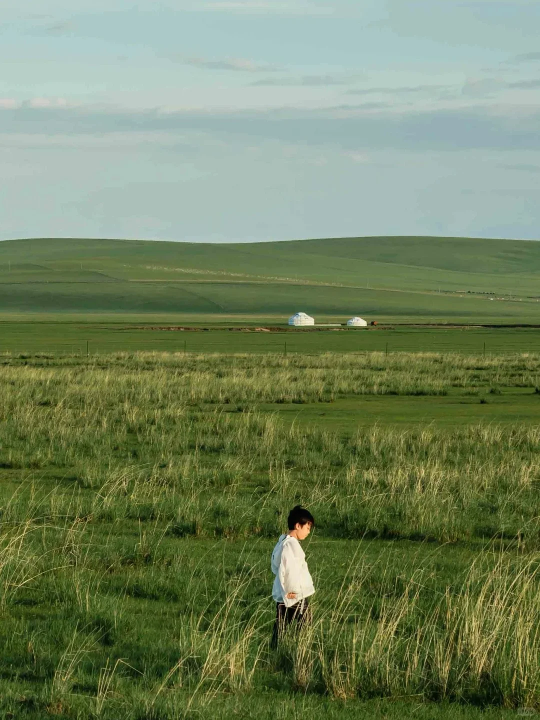 看了再见爱人4，想立刻飞去内蒙古😭