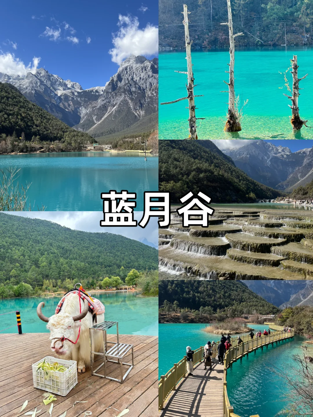 云南旅游正确路线❤️4天3晚人均1000+