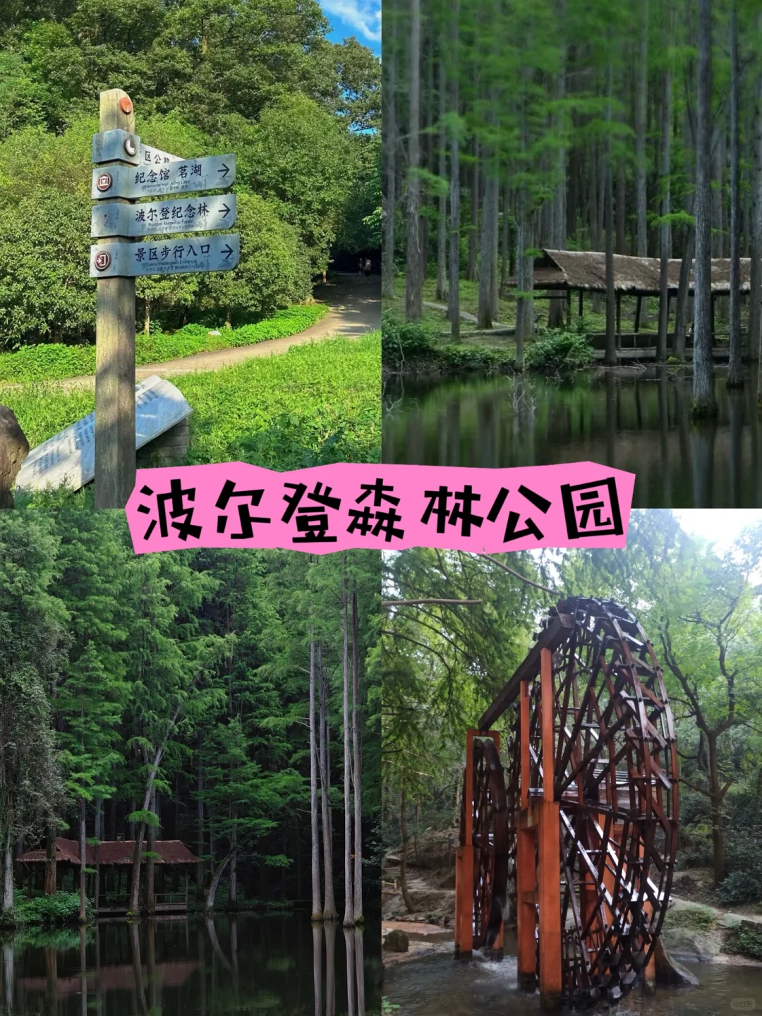 【信阳必去9大景点】2天打卡九大景点