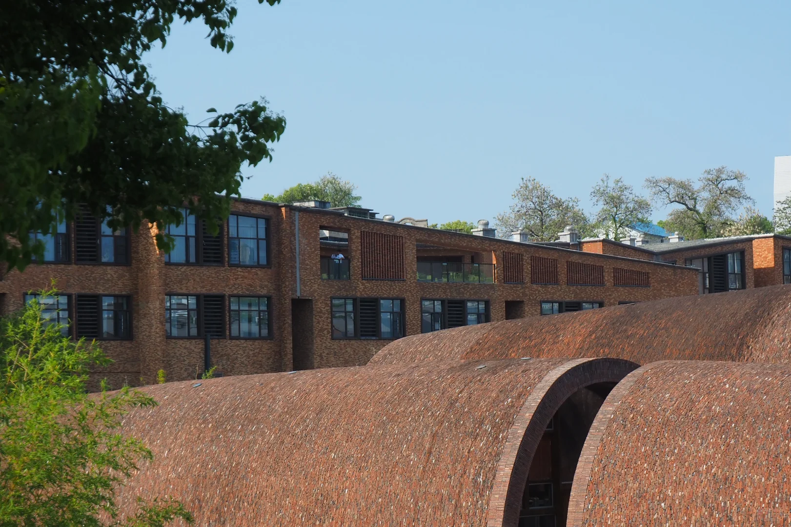 奥林巴斯扫街 陶阳里