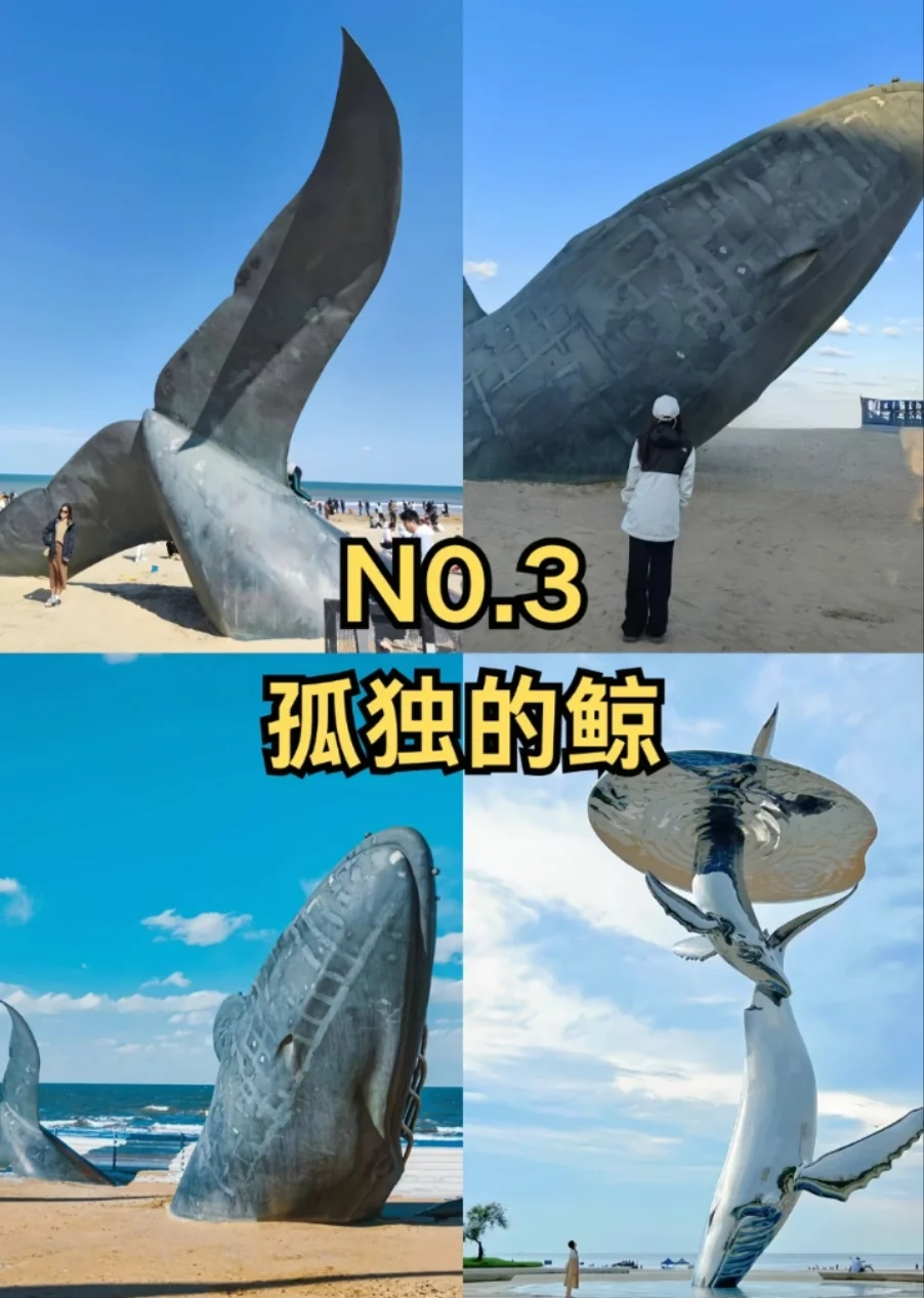 邯郸到烟台看果冻海，五一烟台旅游攻略