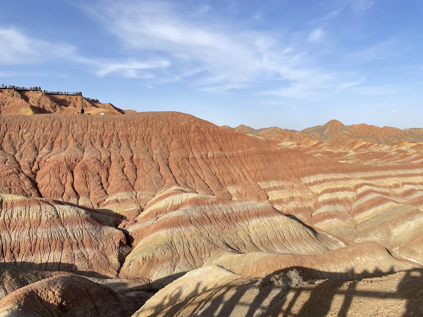 我们的青甘大环线完美落幕～