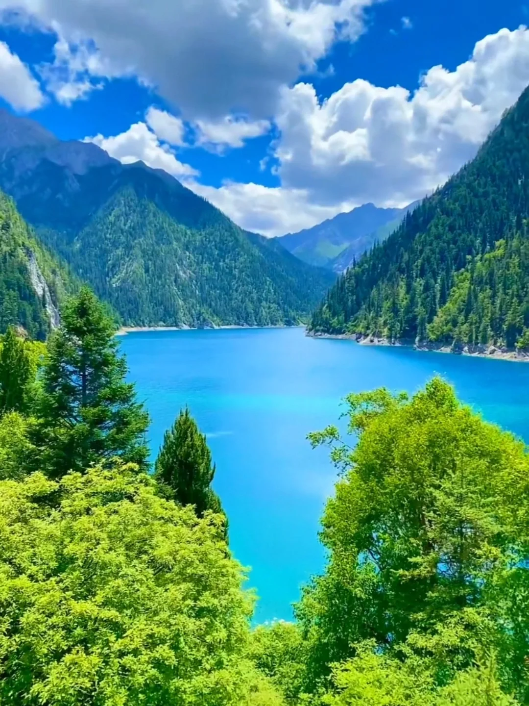 去年五一九寨沟live实况直出，劝退不了