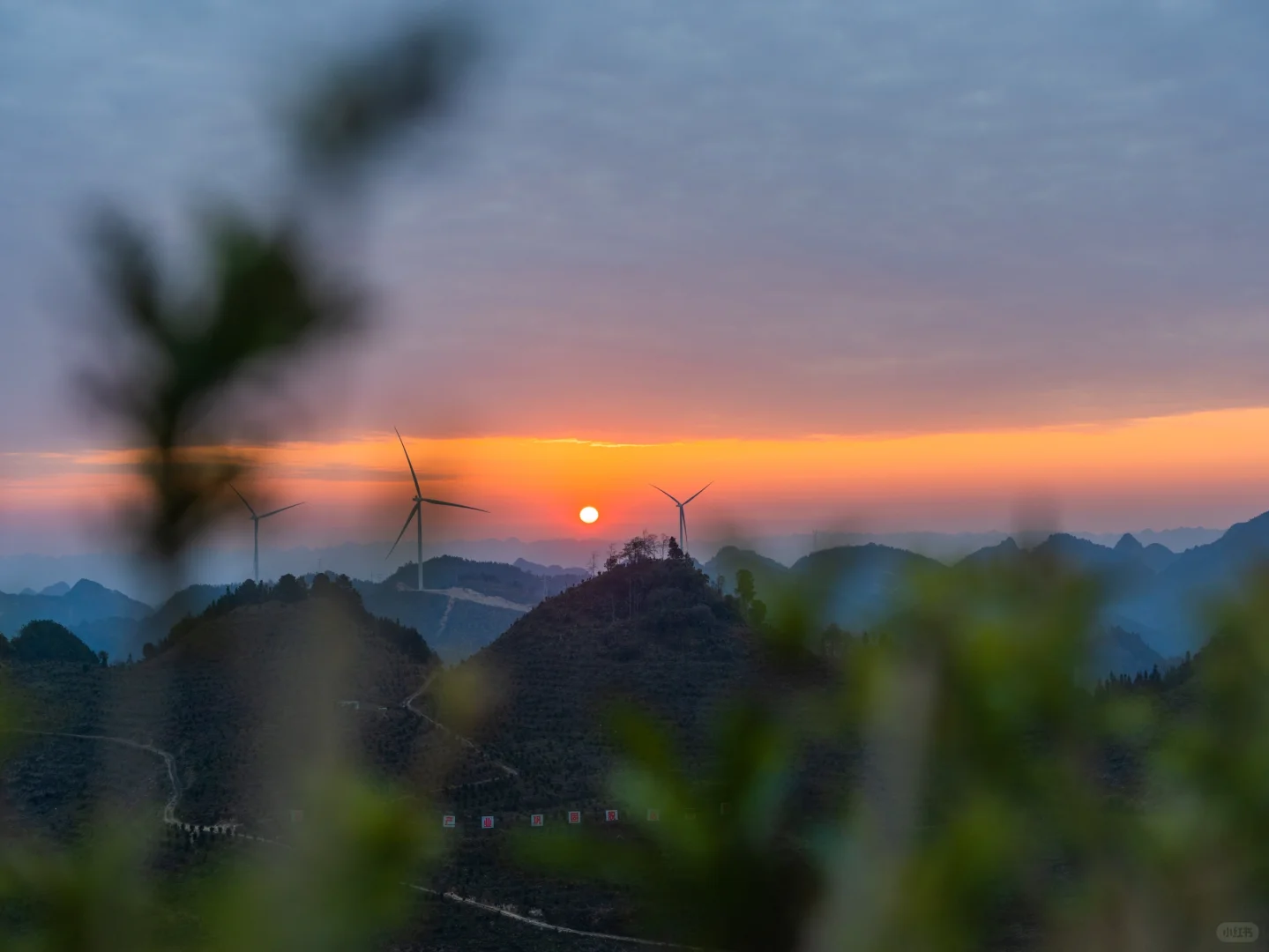 真的有一种误入仙境的美！