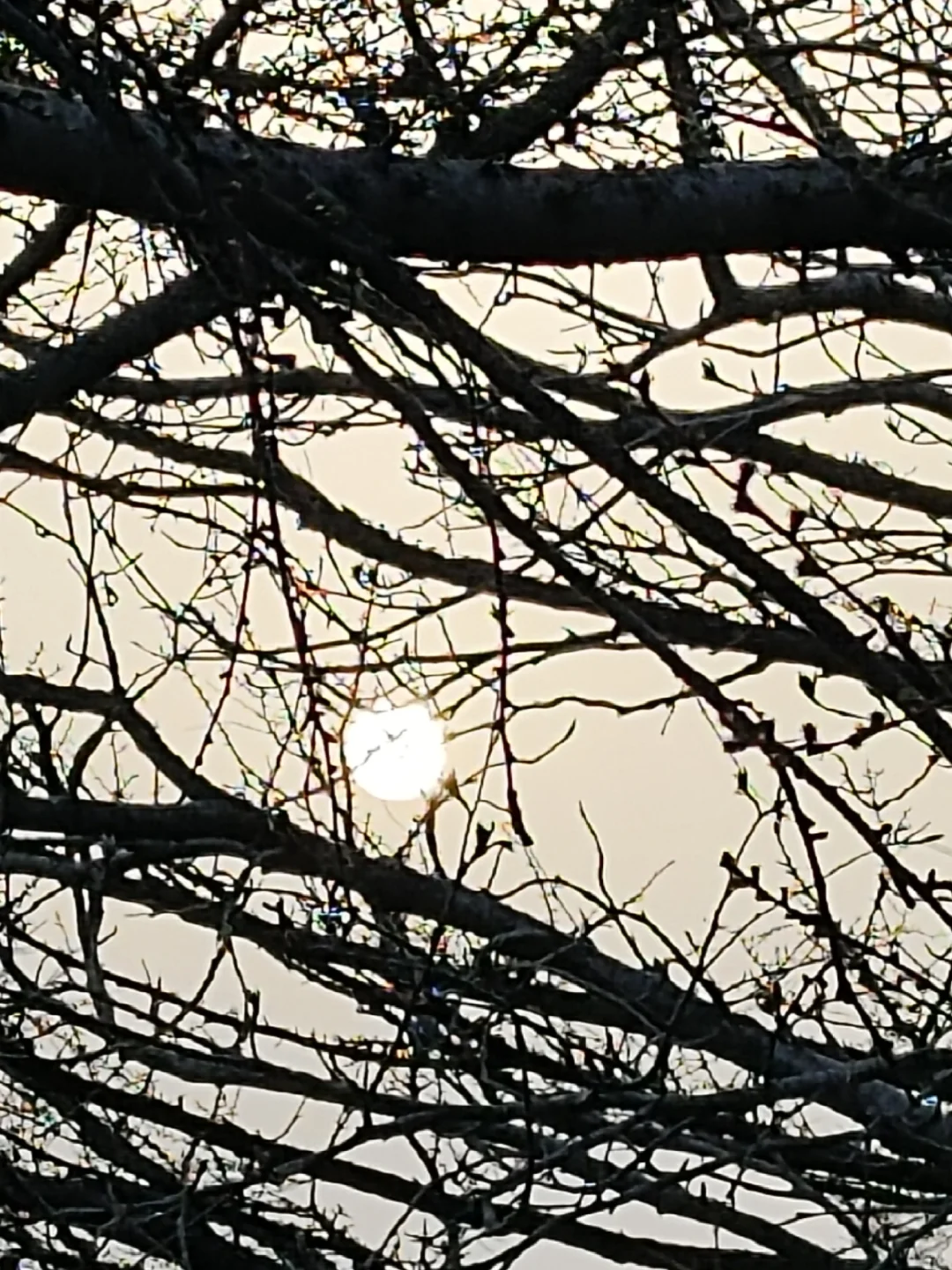 登顶🤜🏻🤜🏻