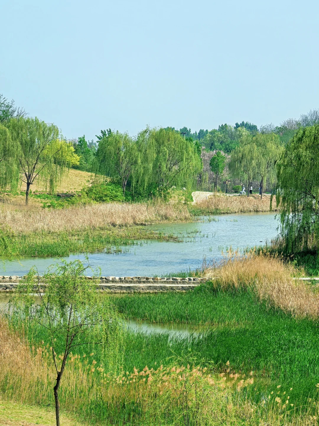 邯郸！发小带我来的小众公园，人少景超美