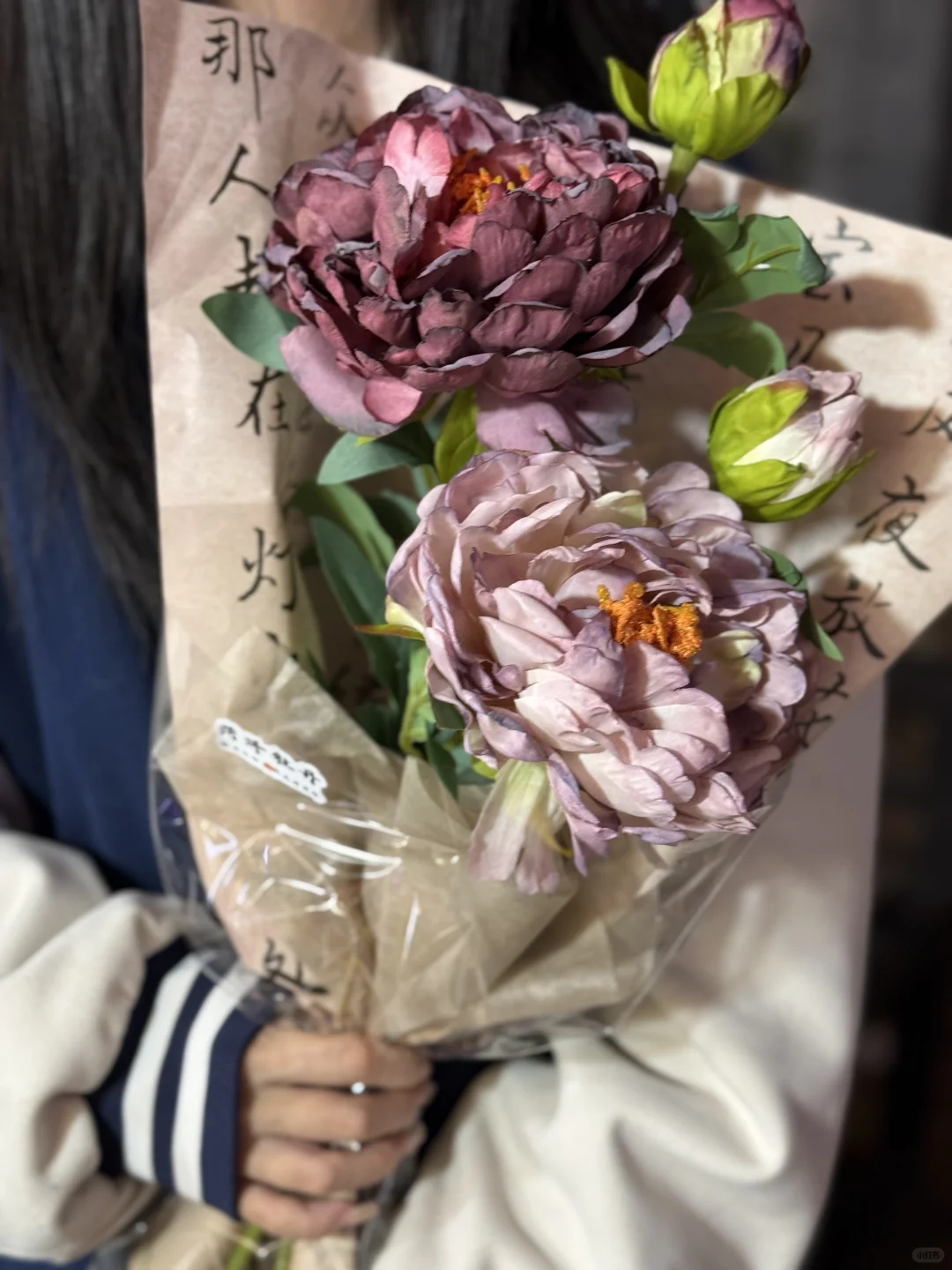 牡丹花曹州古城