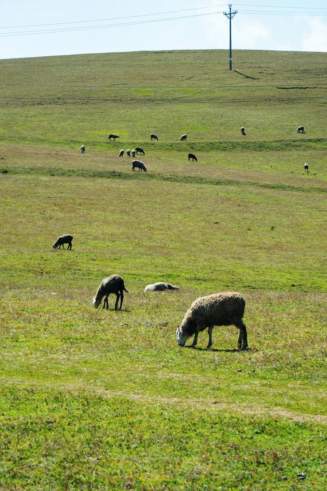 太惊喜了！昭通是云南最后一个宝藏小城了吧