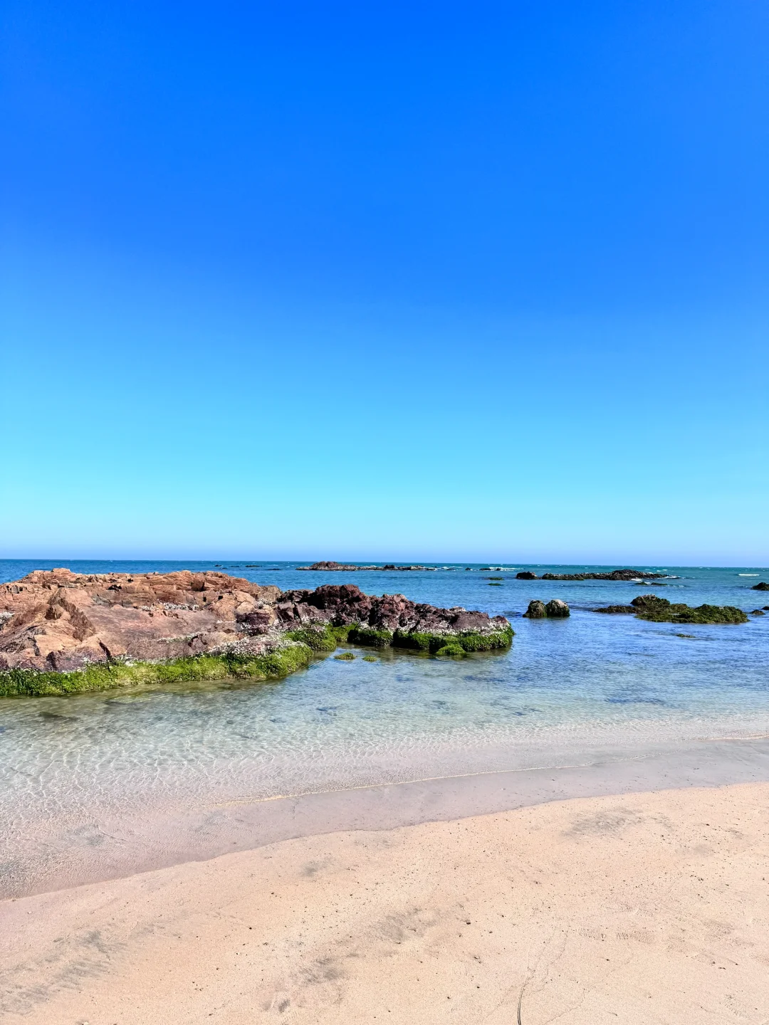 如果你在一个晴天的没有课的下午…