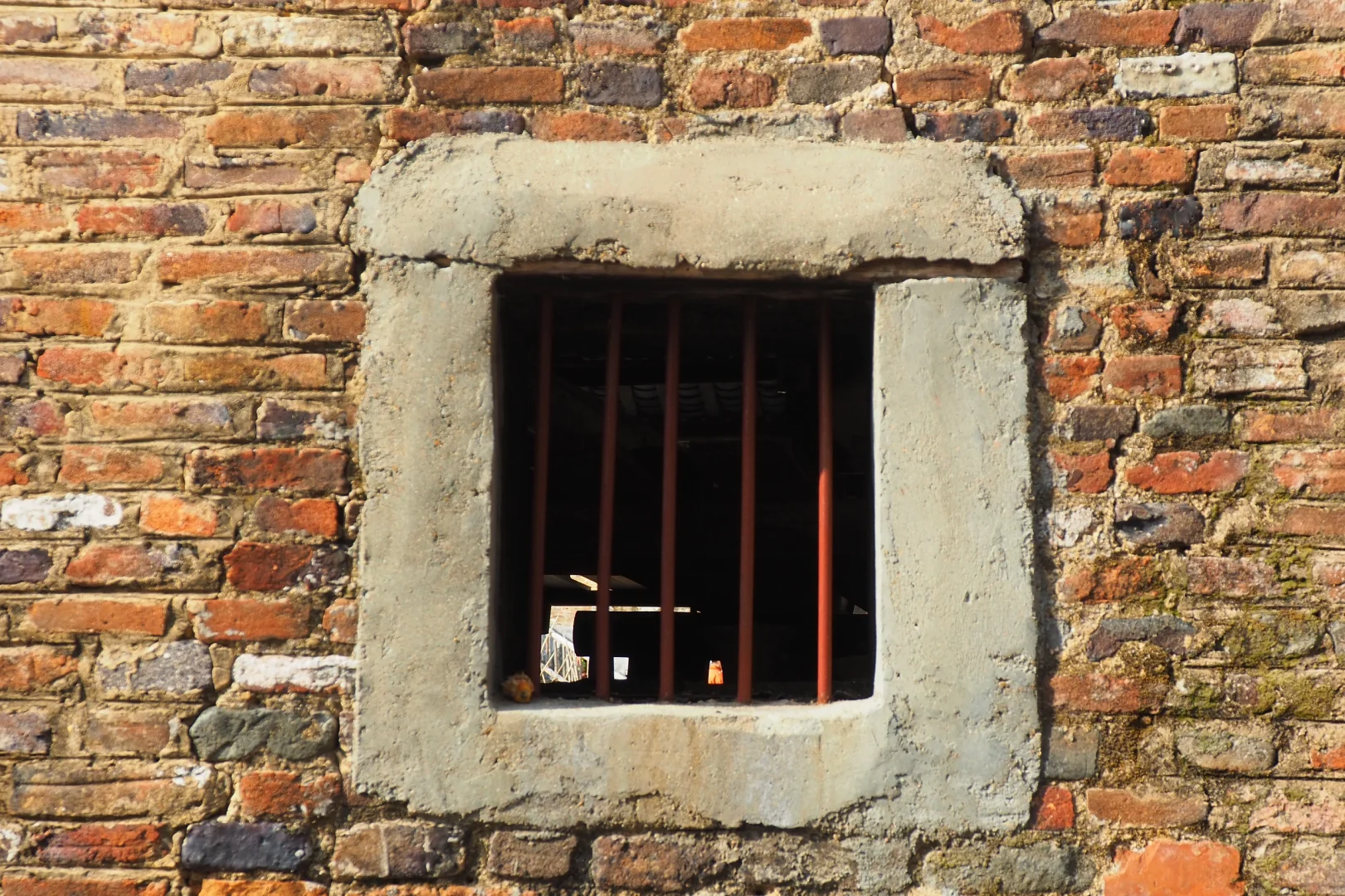 奥林巴斯扫街 陶阳里