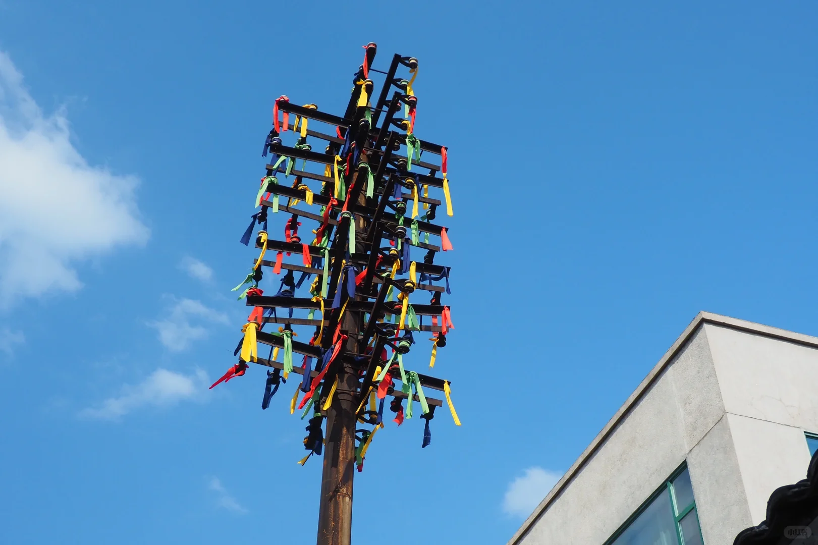 奥林巴斯扫街 陶阳里