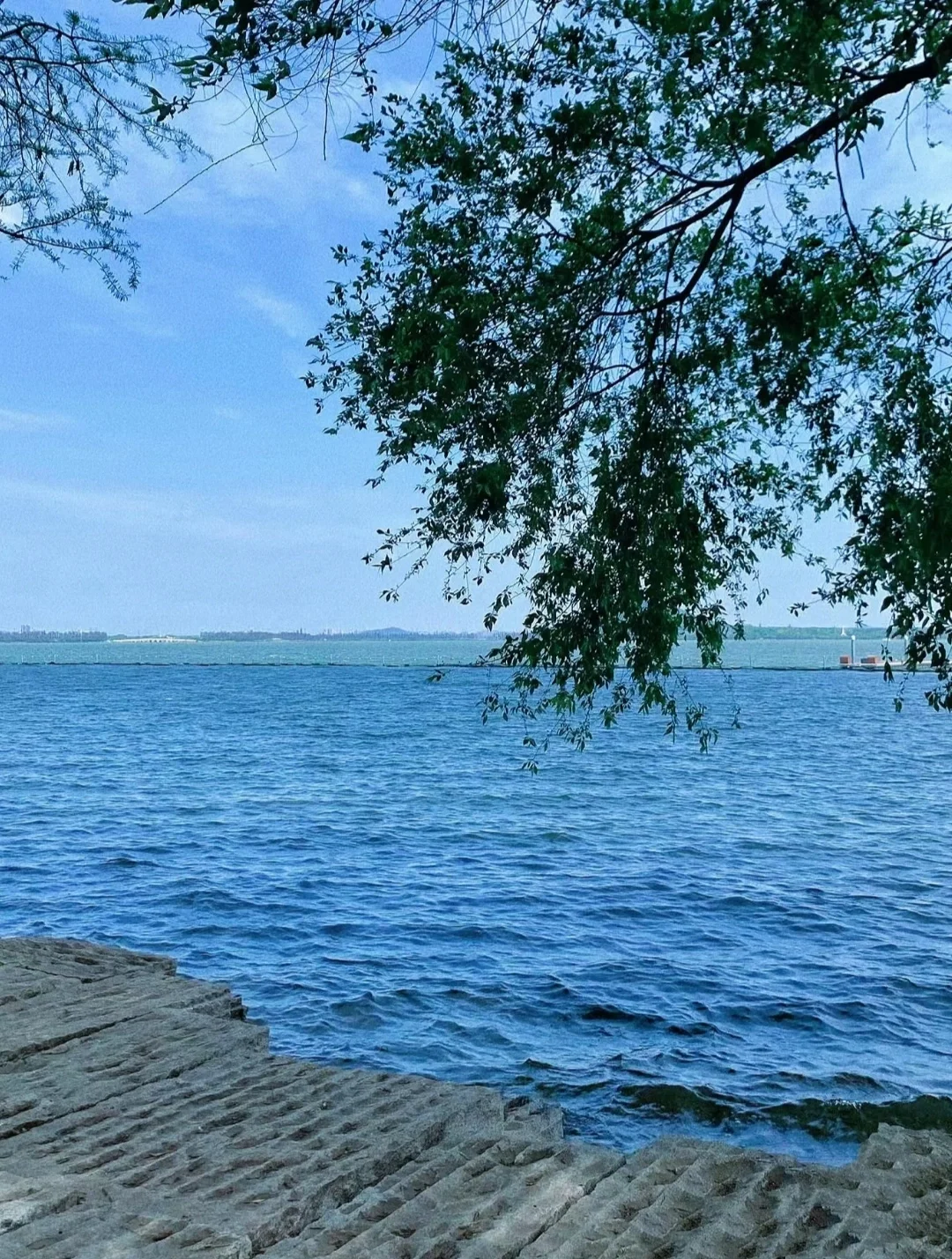 东湖一日深度游攻略！🚩