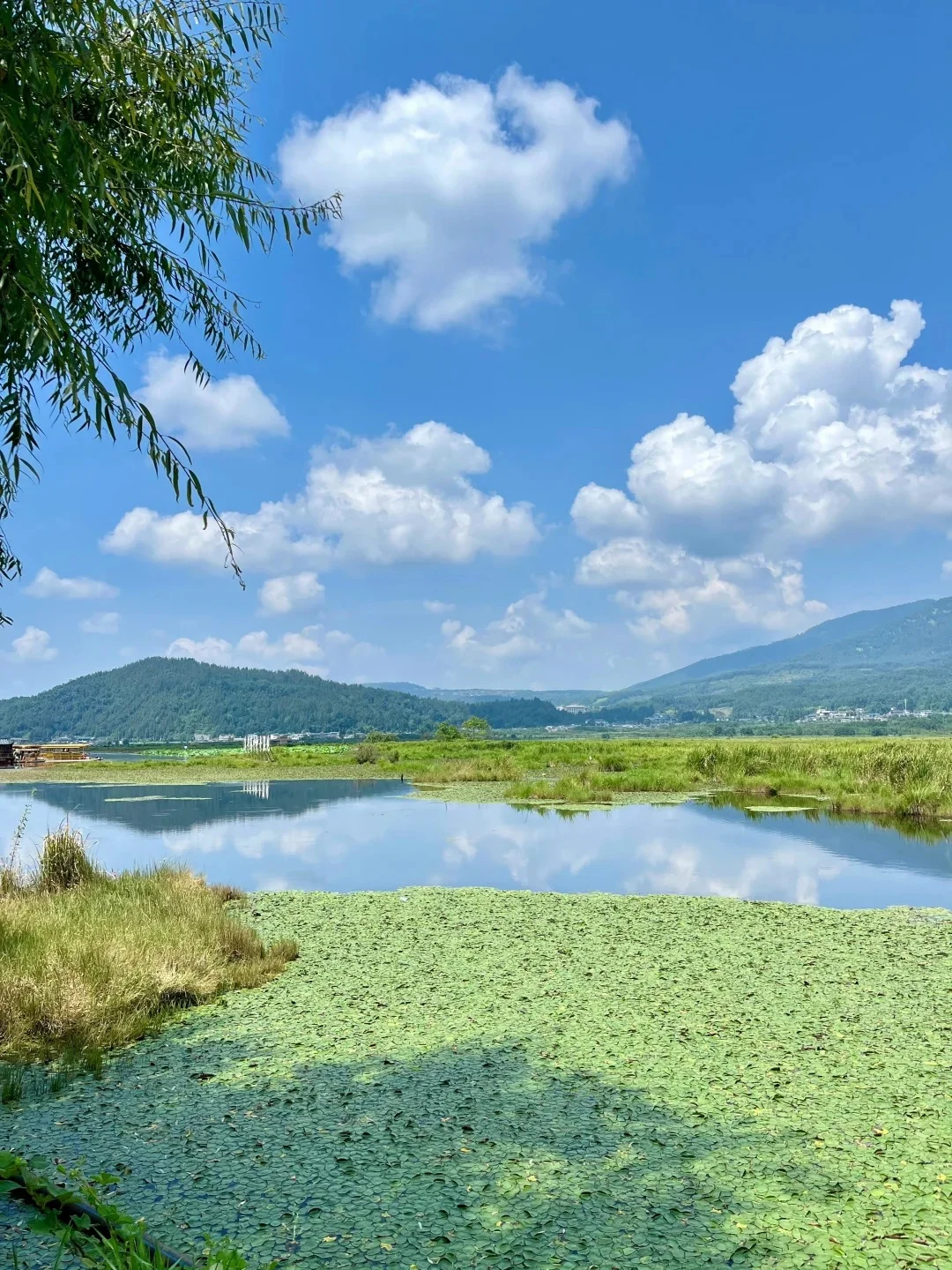 🌍探秘腾冲| 地理位置独特，特色景点惊艳