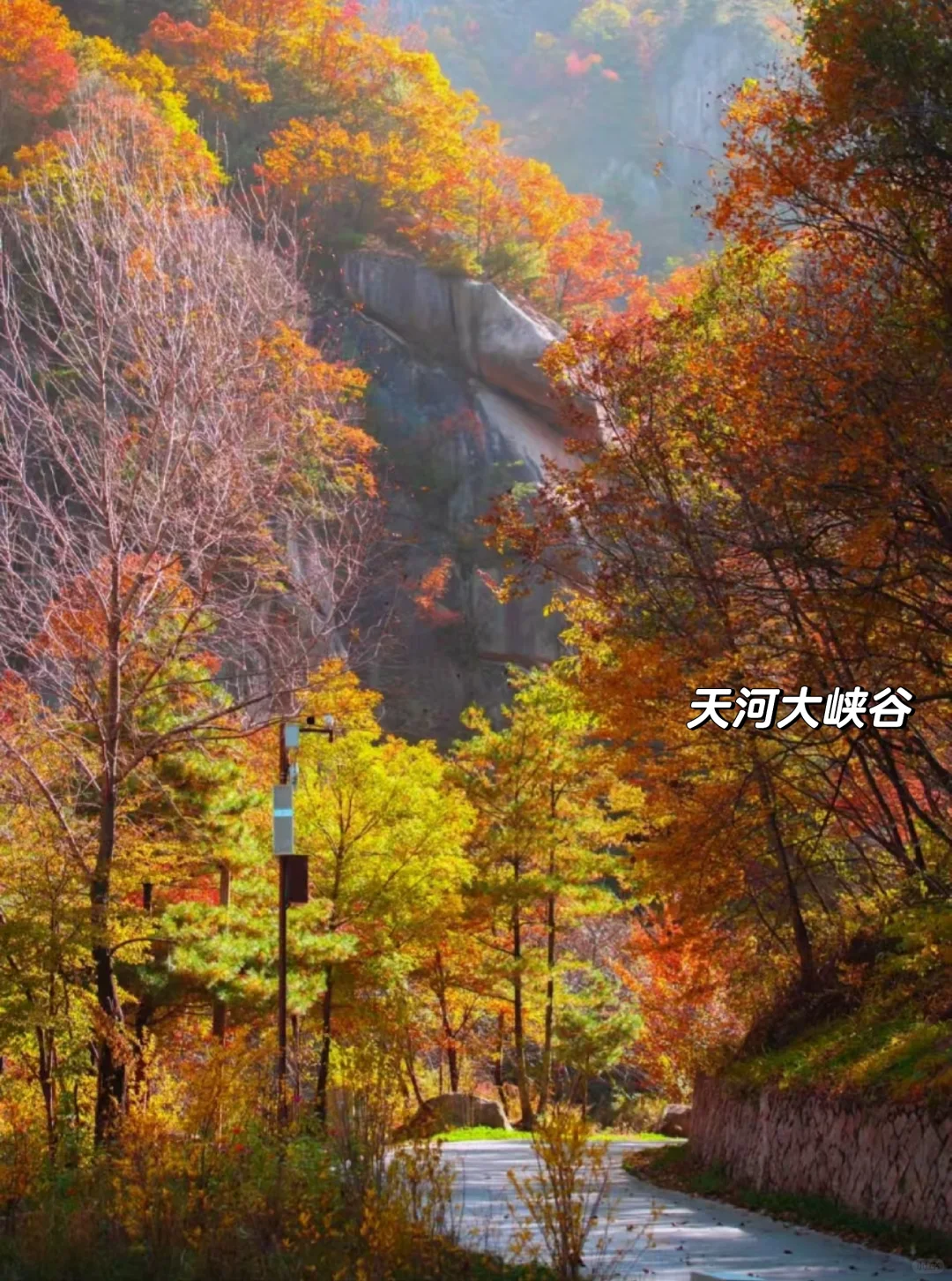 邯郸到洛阳栾川，鸡冠洞+天河大峡谷二日游