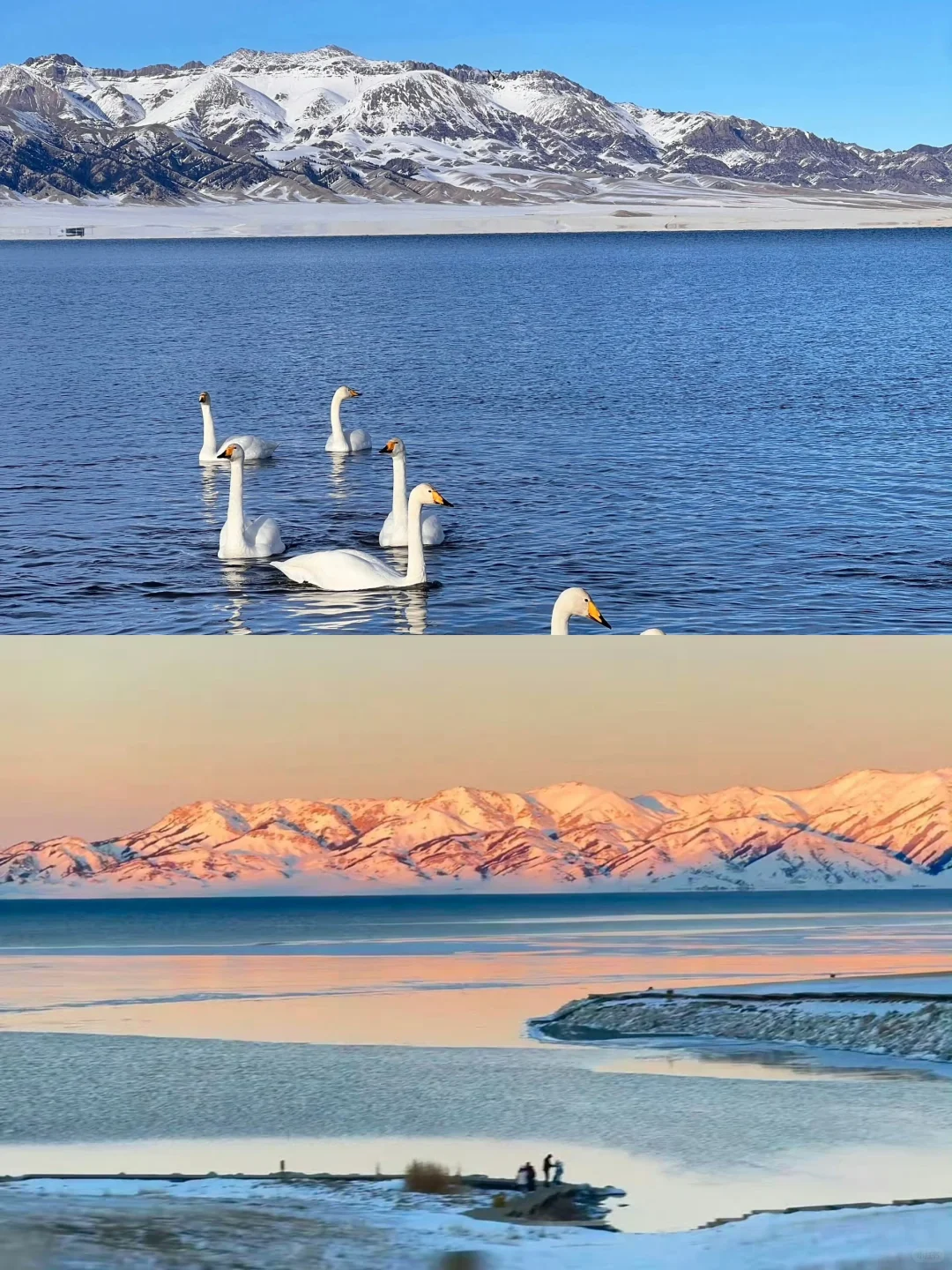 4.18📍赛里木湖live，豪赌成功，劝退不了一点