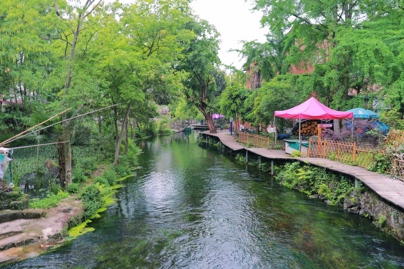 桂林周边游｜安和龙井村